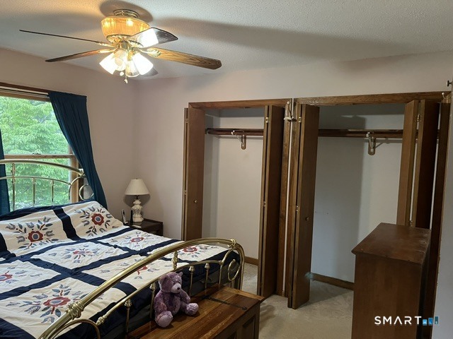 5 Llynwood Drive photo 13