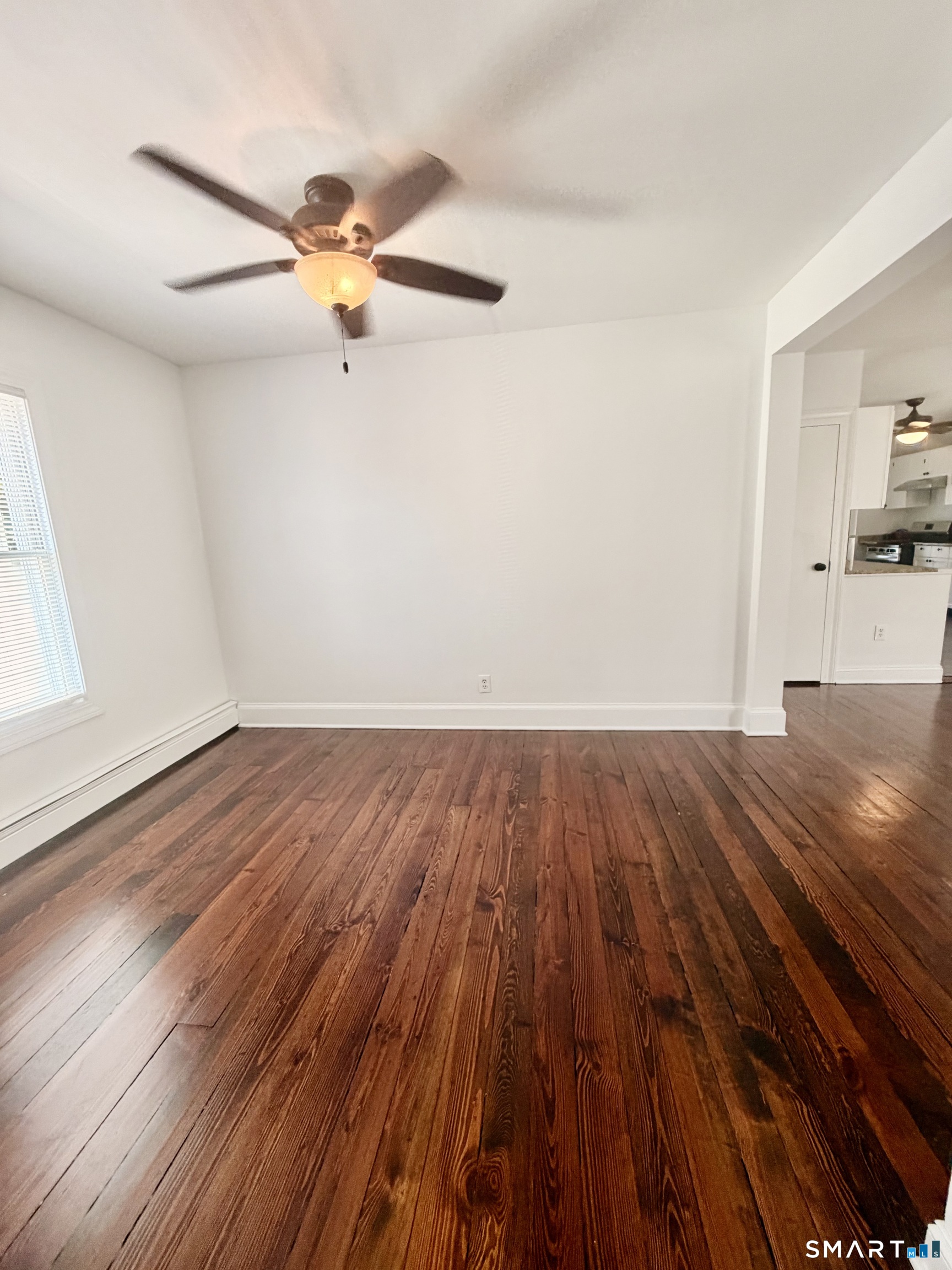 48 Vine Street photo 4