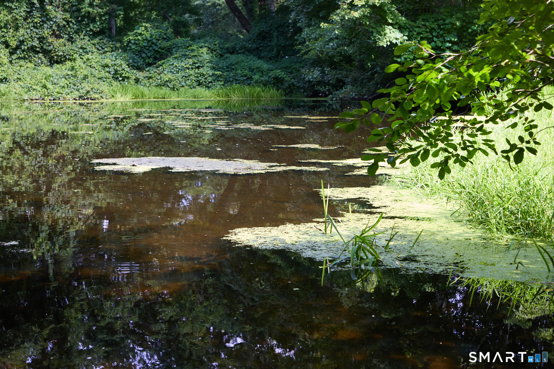 17 Old Mill Road photo 21