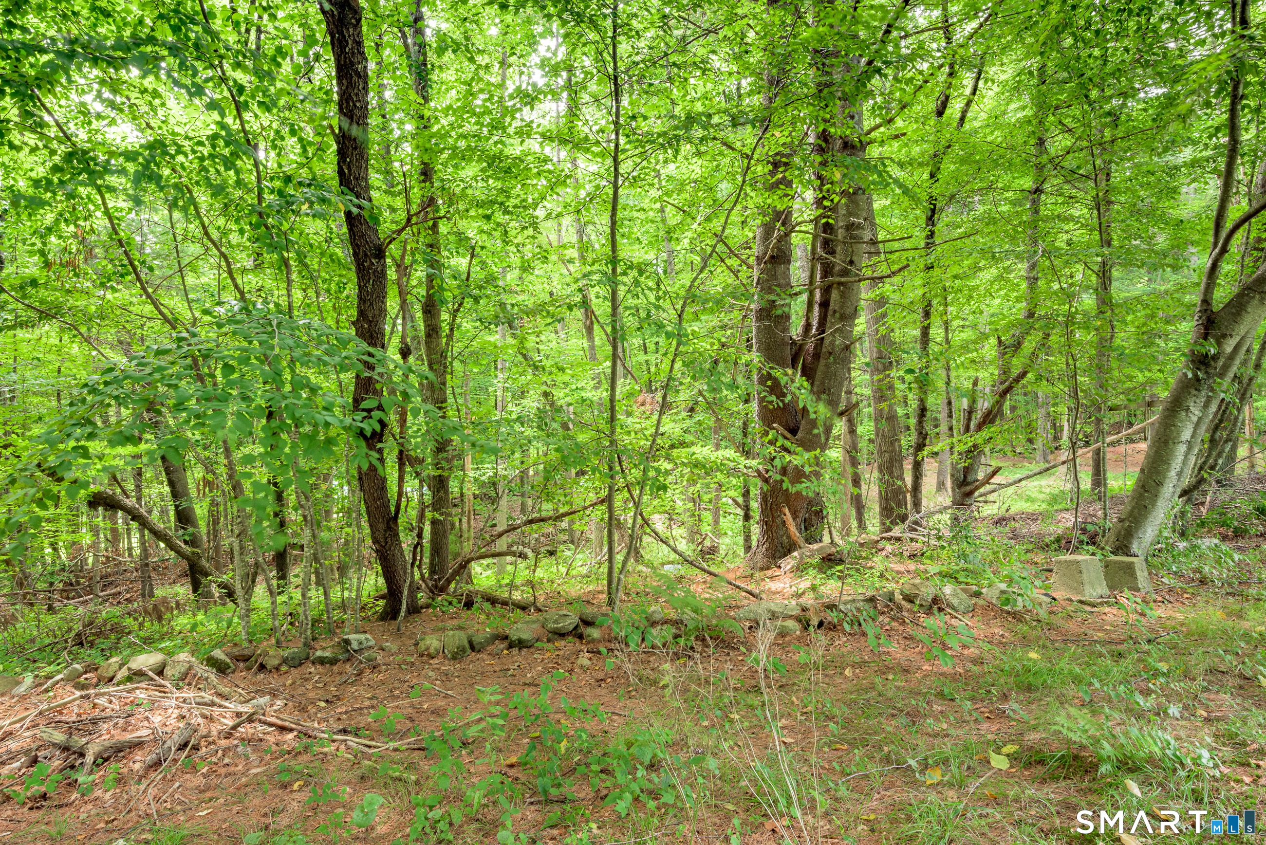 20 Ridgewood Road photo 21