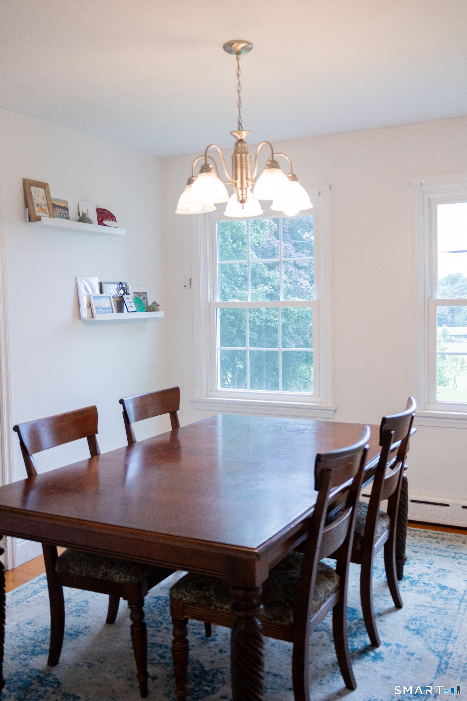46 Skinner Road photo 16