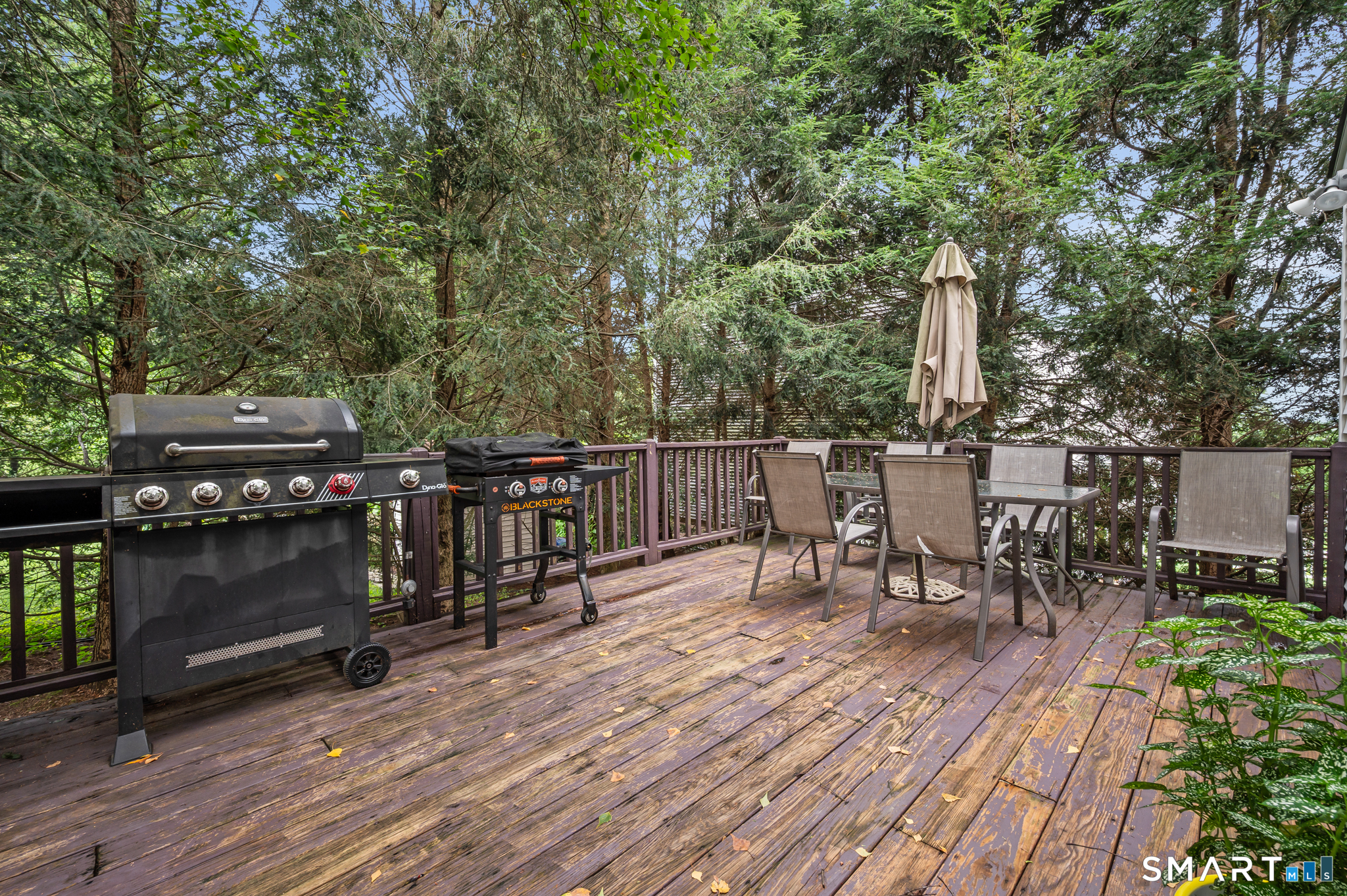167 Wooster Street photo 32