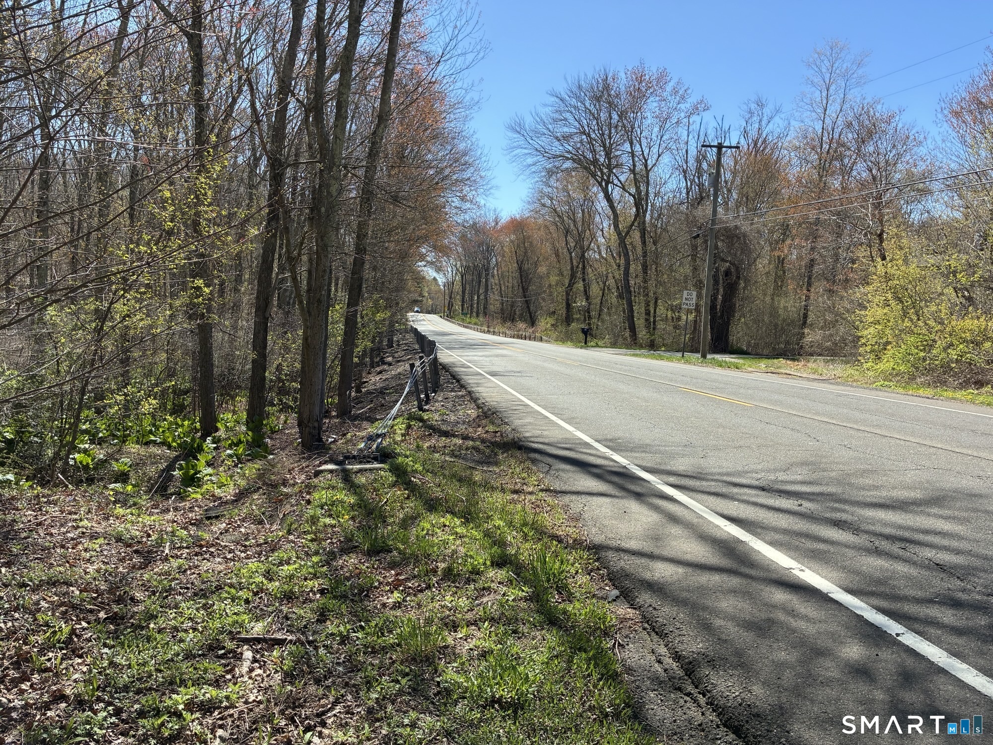 Madison Road photo 15