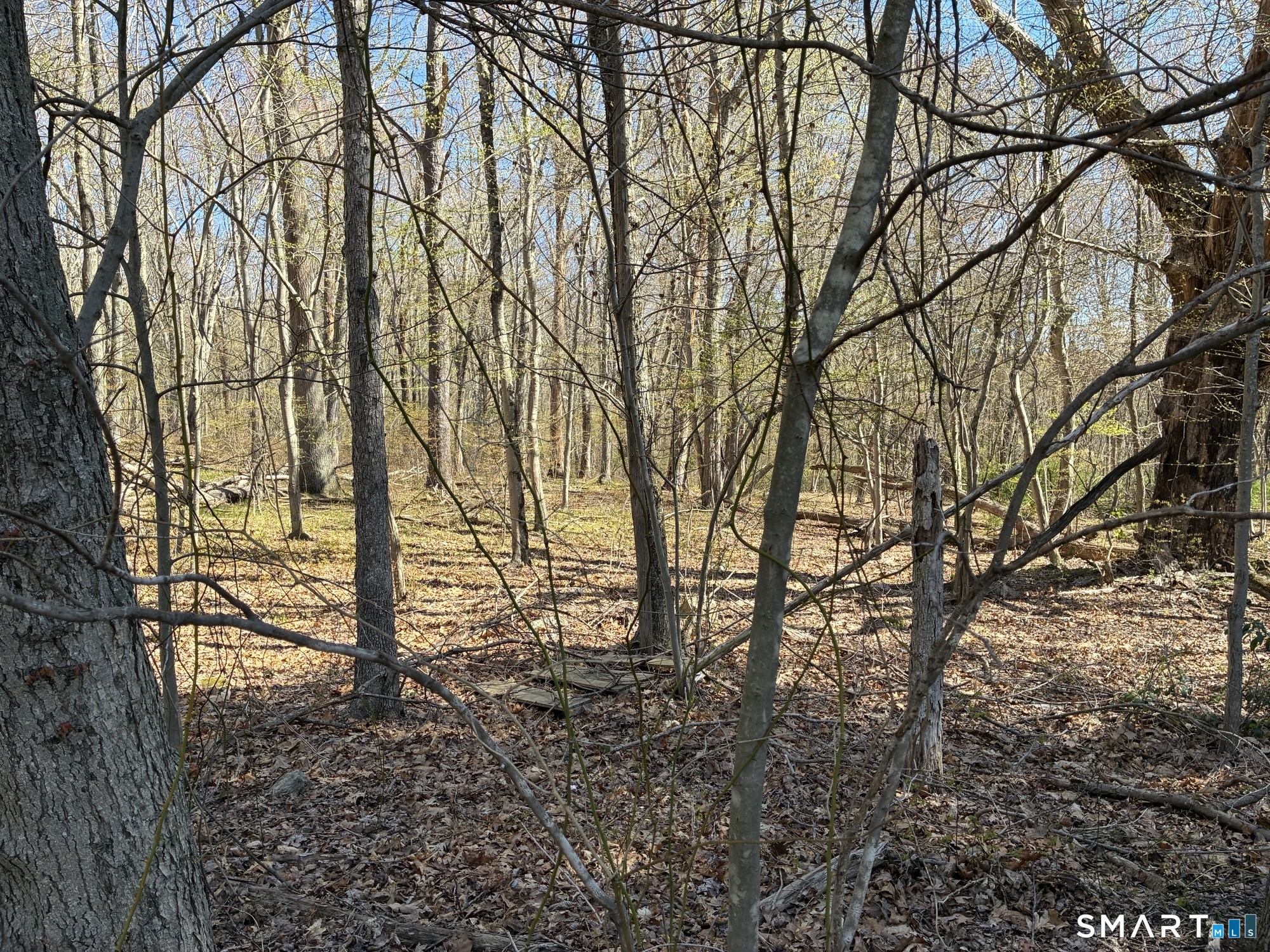 Madison Road photo 14