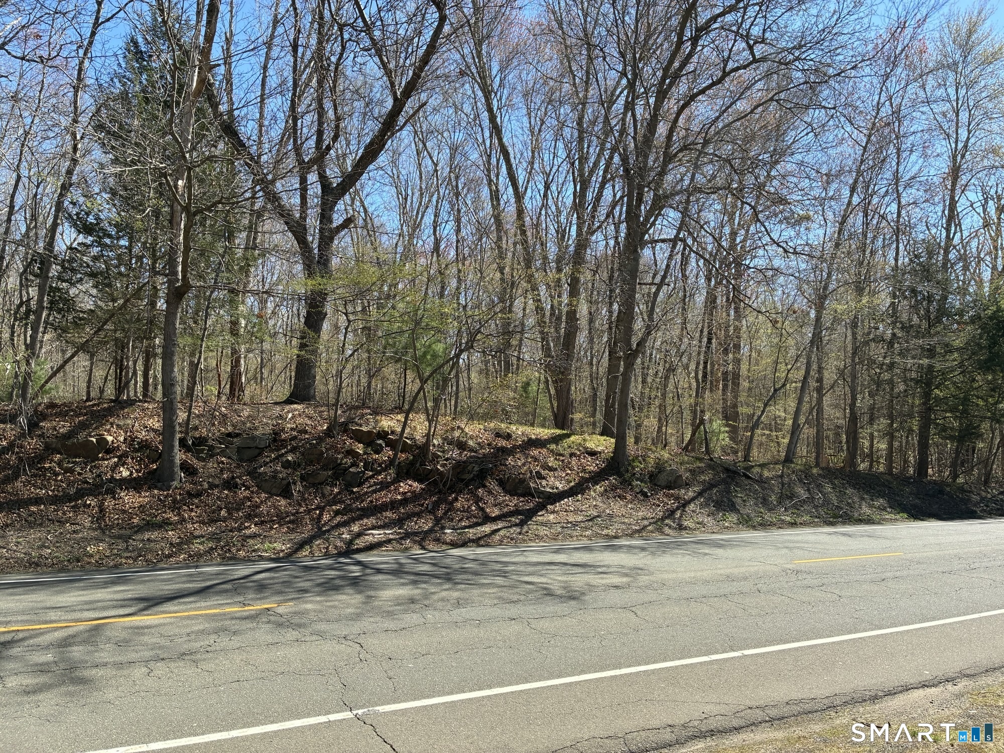 Madison Road photo 16