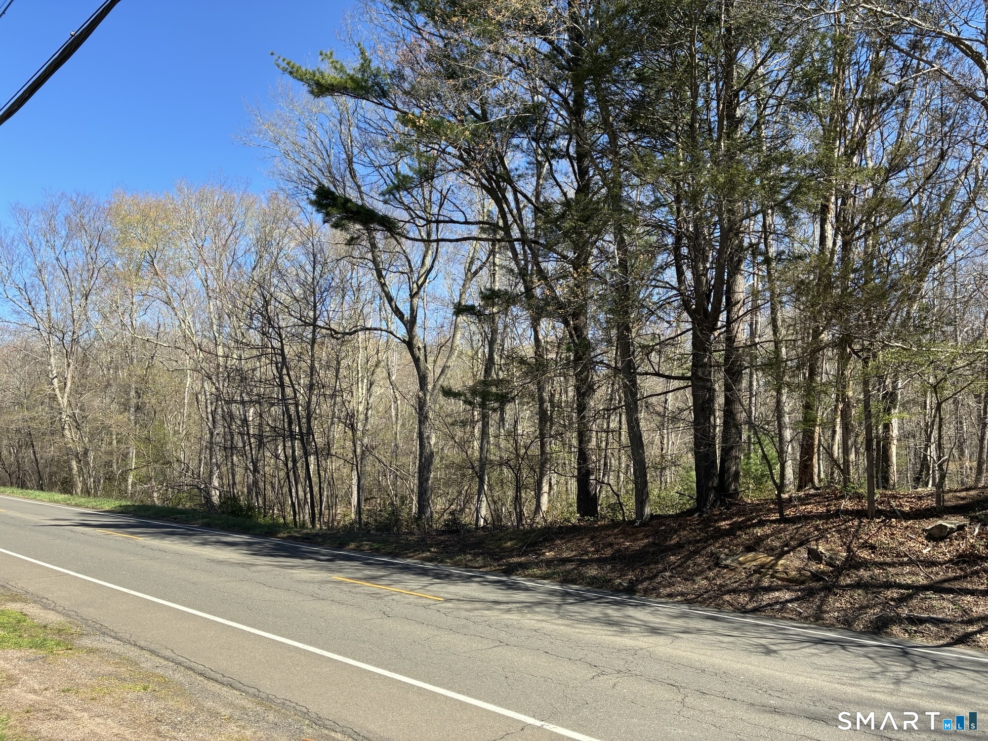 Madison Road photo 17