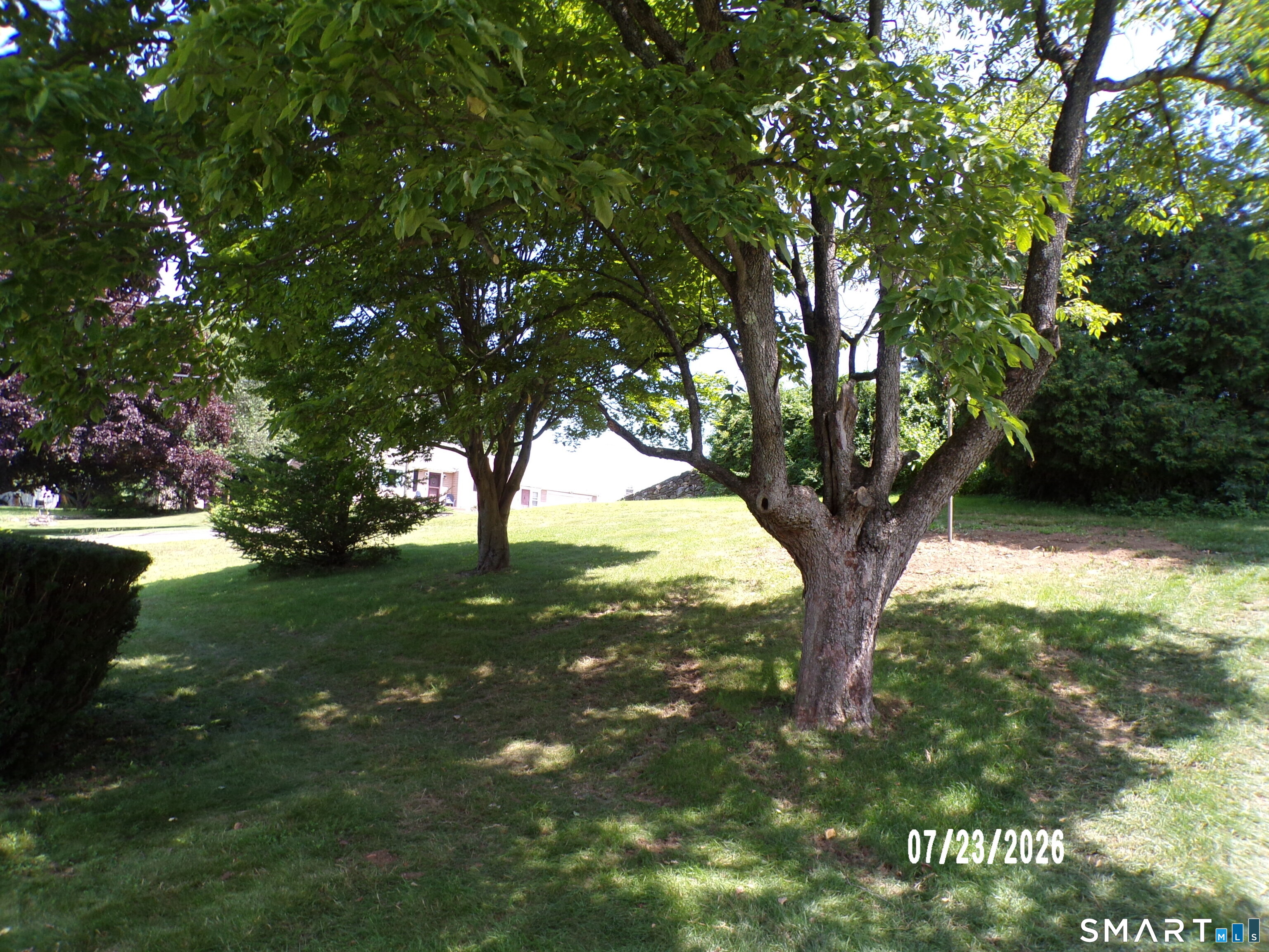 178 Sunset Drive photo 5