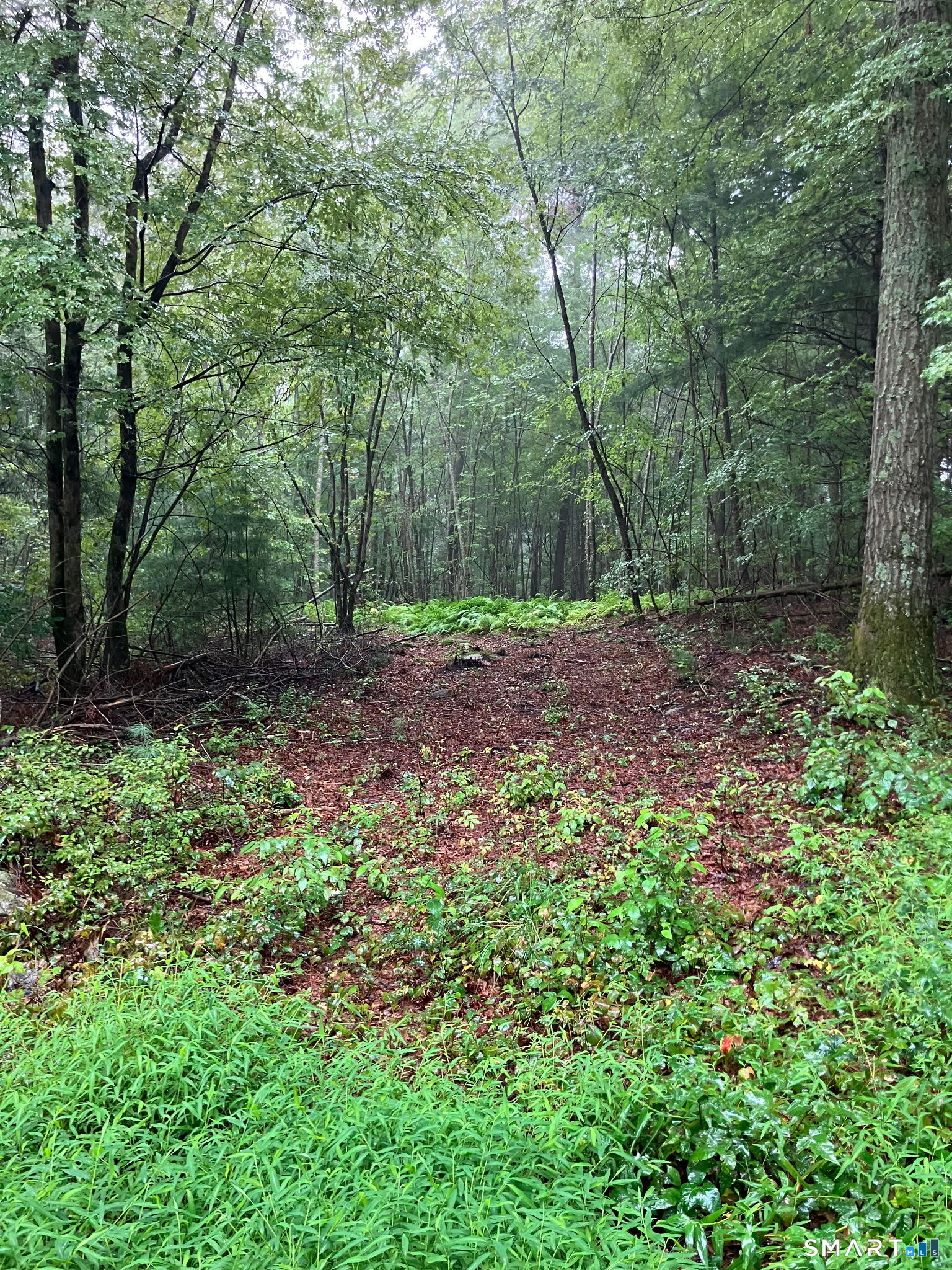 12th image of 18 Ledge Hl Rd, Sterling, CT 06377 | MLS# 24198825