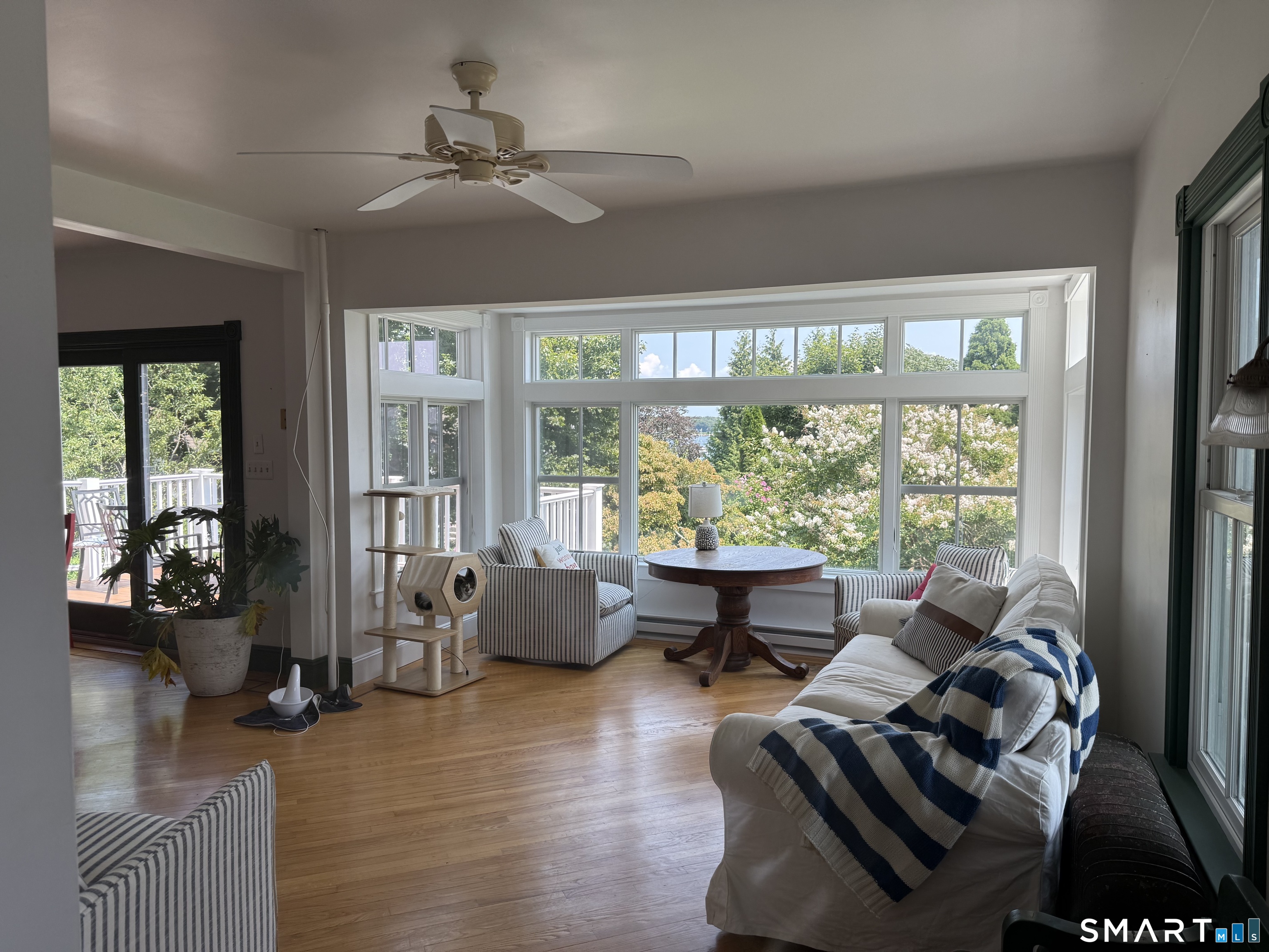 17 Smith Court photo 6