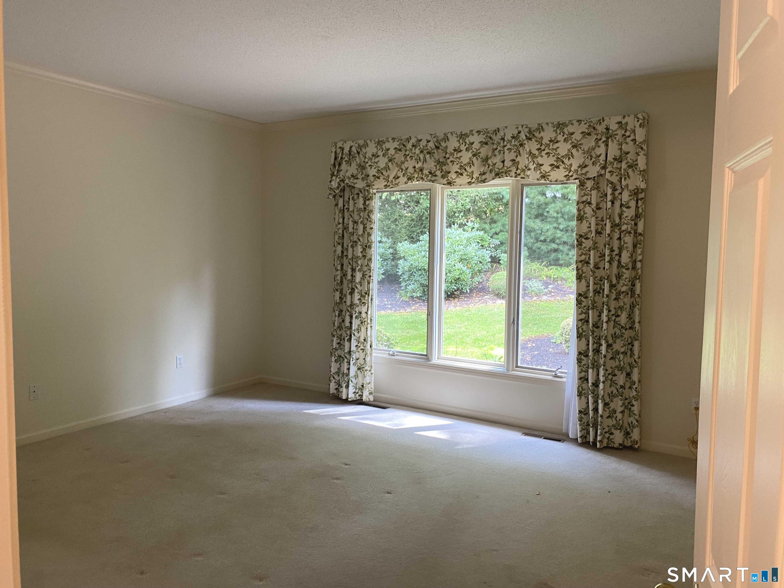 54 Winchester Drive photo 23