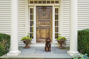 Welcome home. Sorry, puppy NOT included!