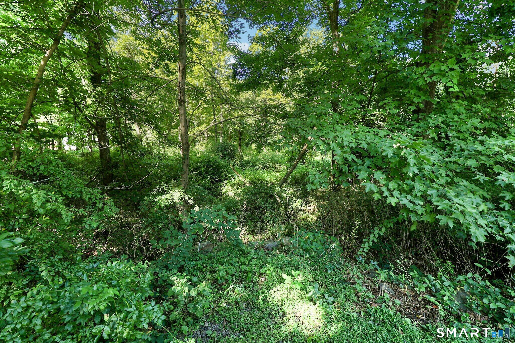 62 Coppermine Road photo 16