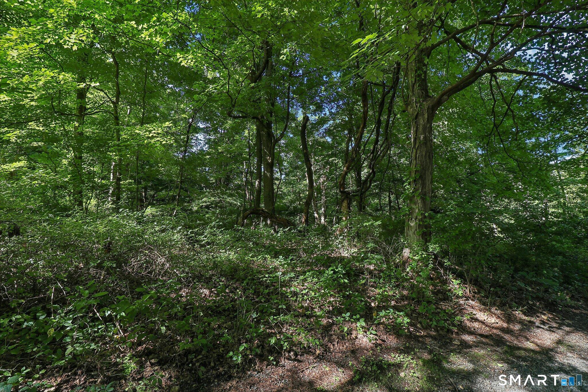 62 Coppermine Road photo 19