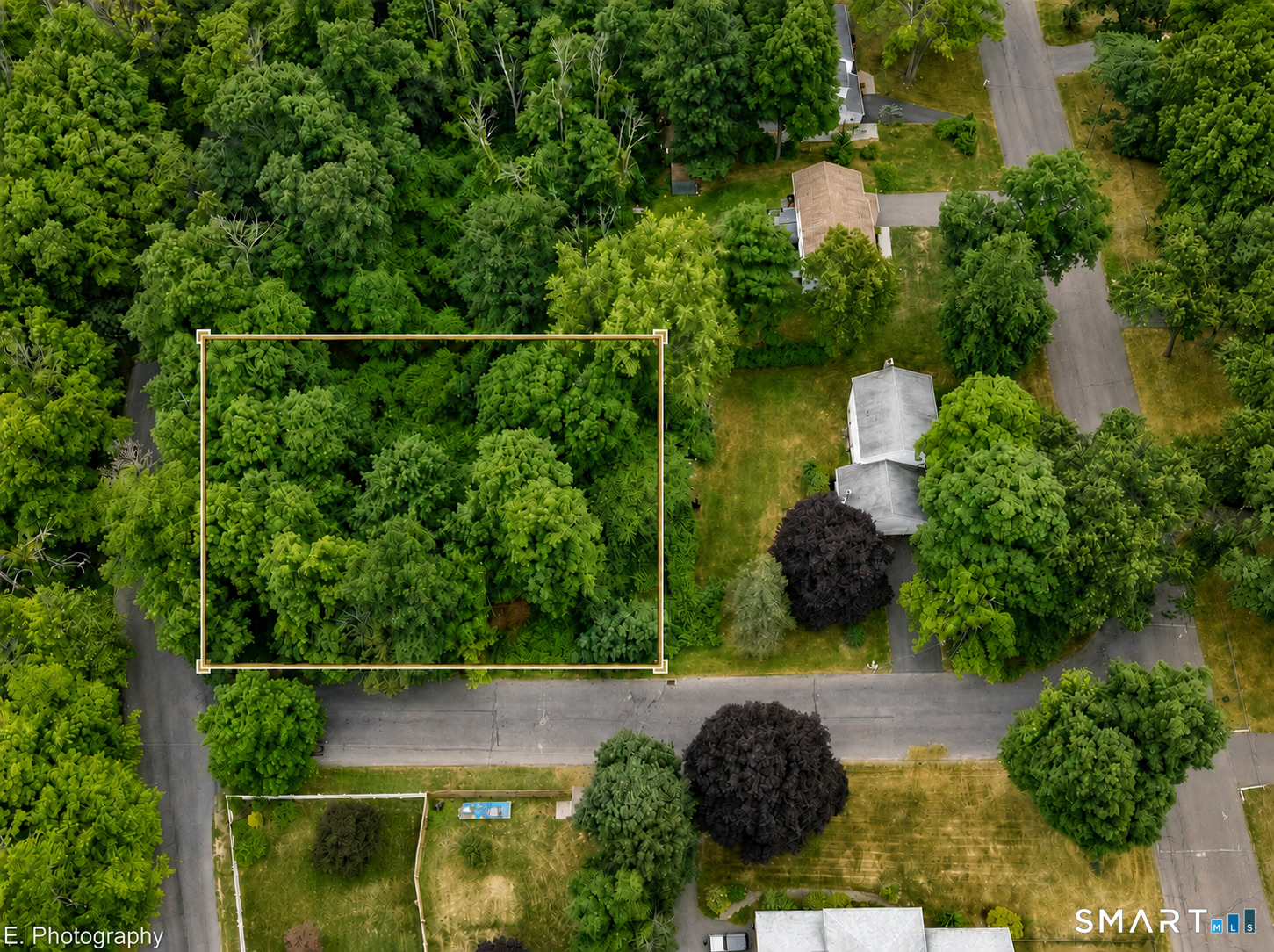 169 Mayflower Lane photo 12