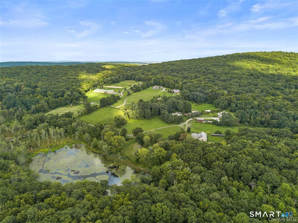 42-45 Blackstone Ridge photo 7