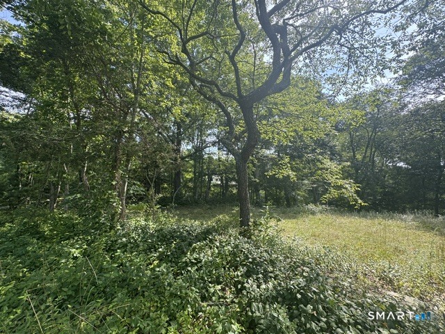14 Barnes Road photo 7