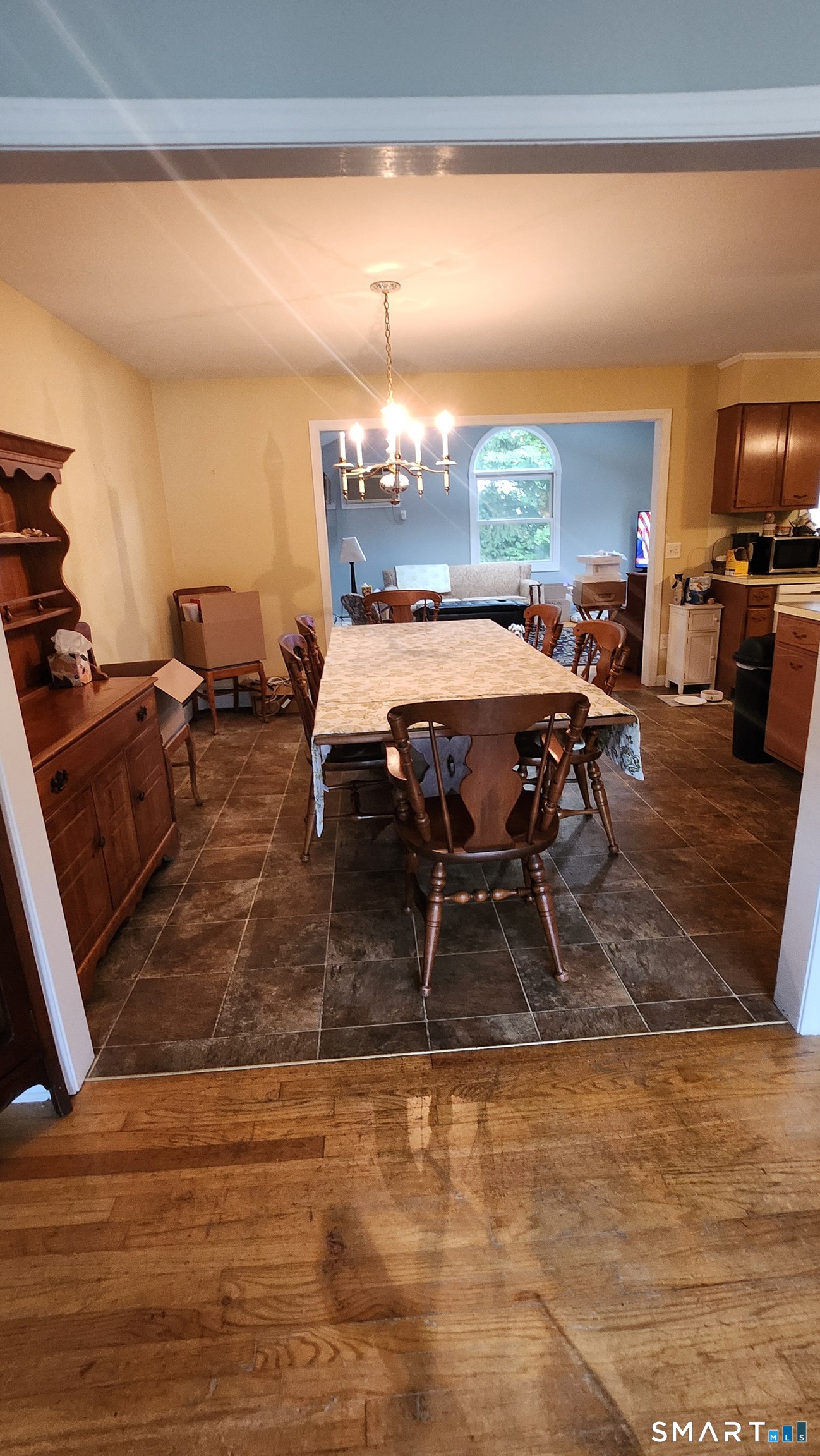 14 Farrel Drive photo 20