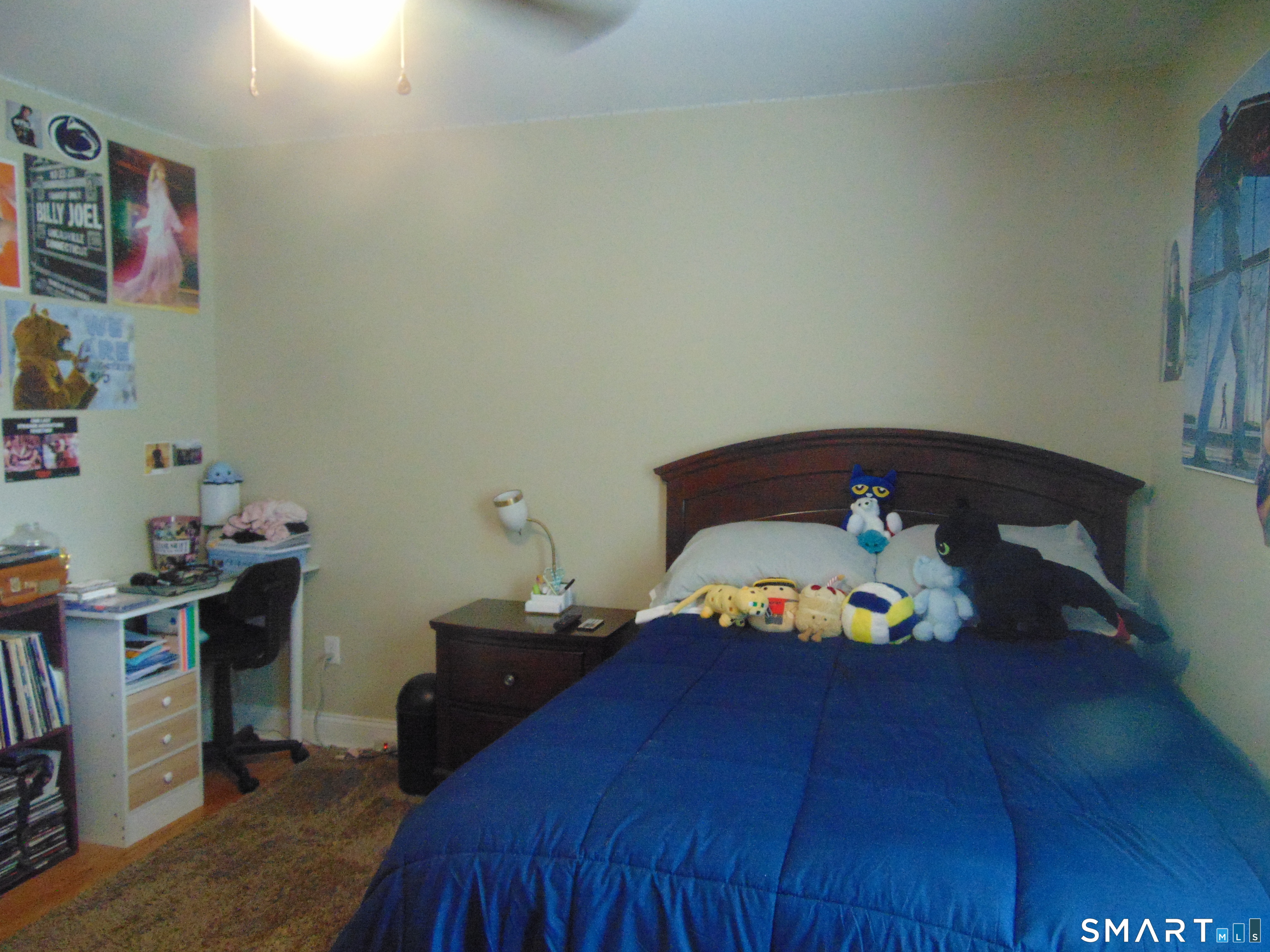 58 Clyde Street photo 22