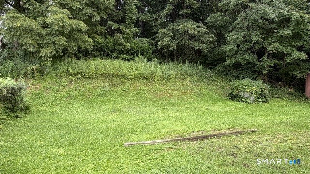 18 Hillside Street photo 26