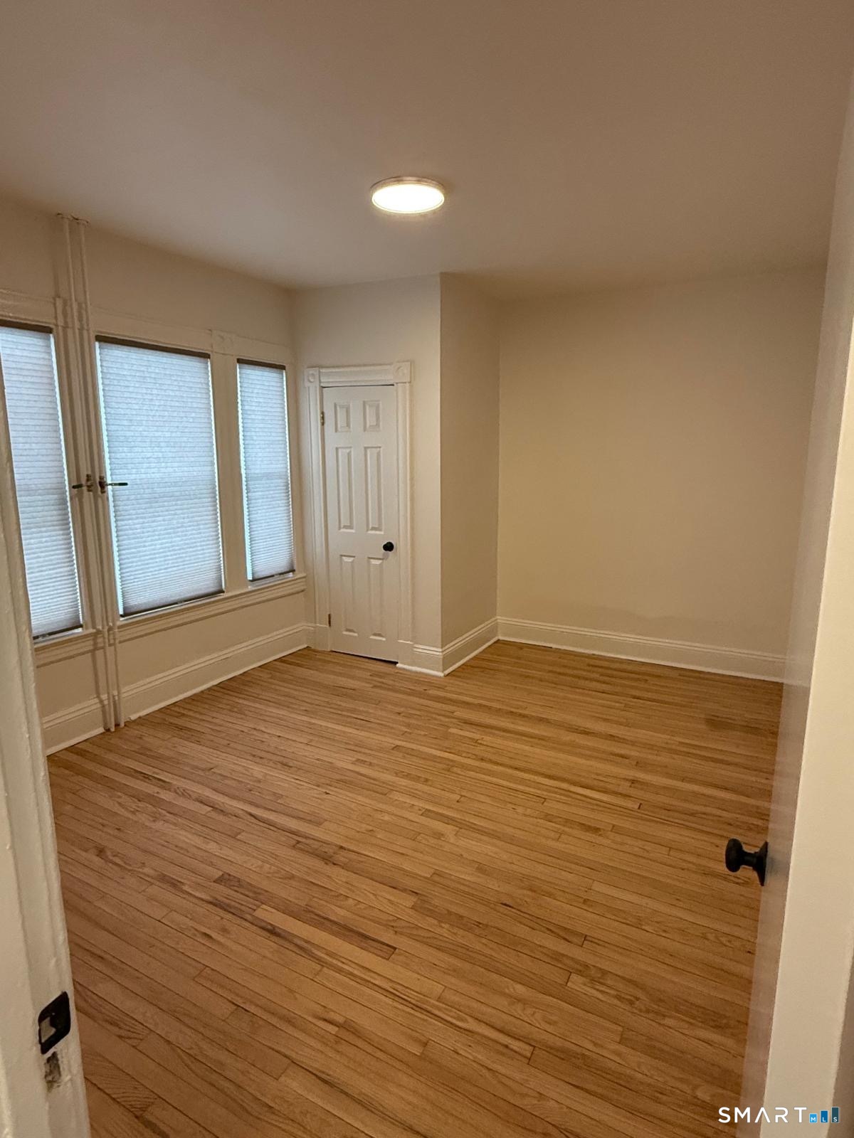 1572 Park Street photo 26