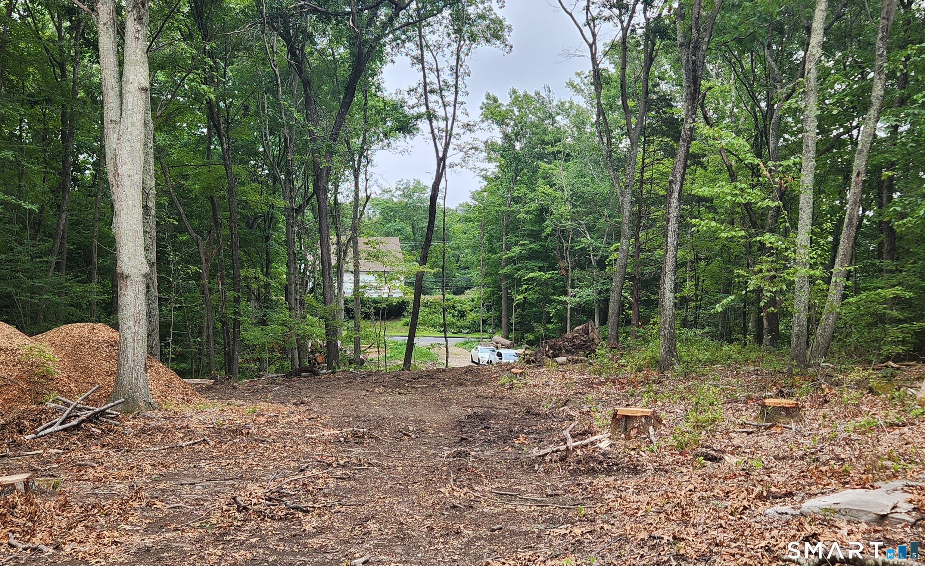262 Route 81 photo 11