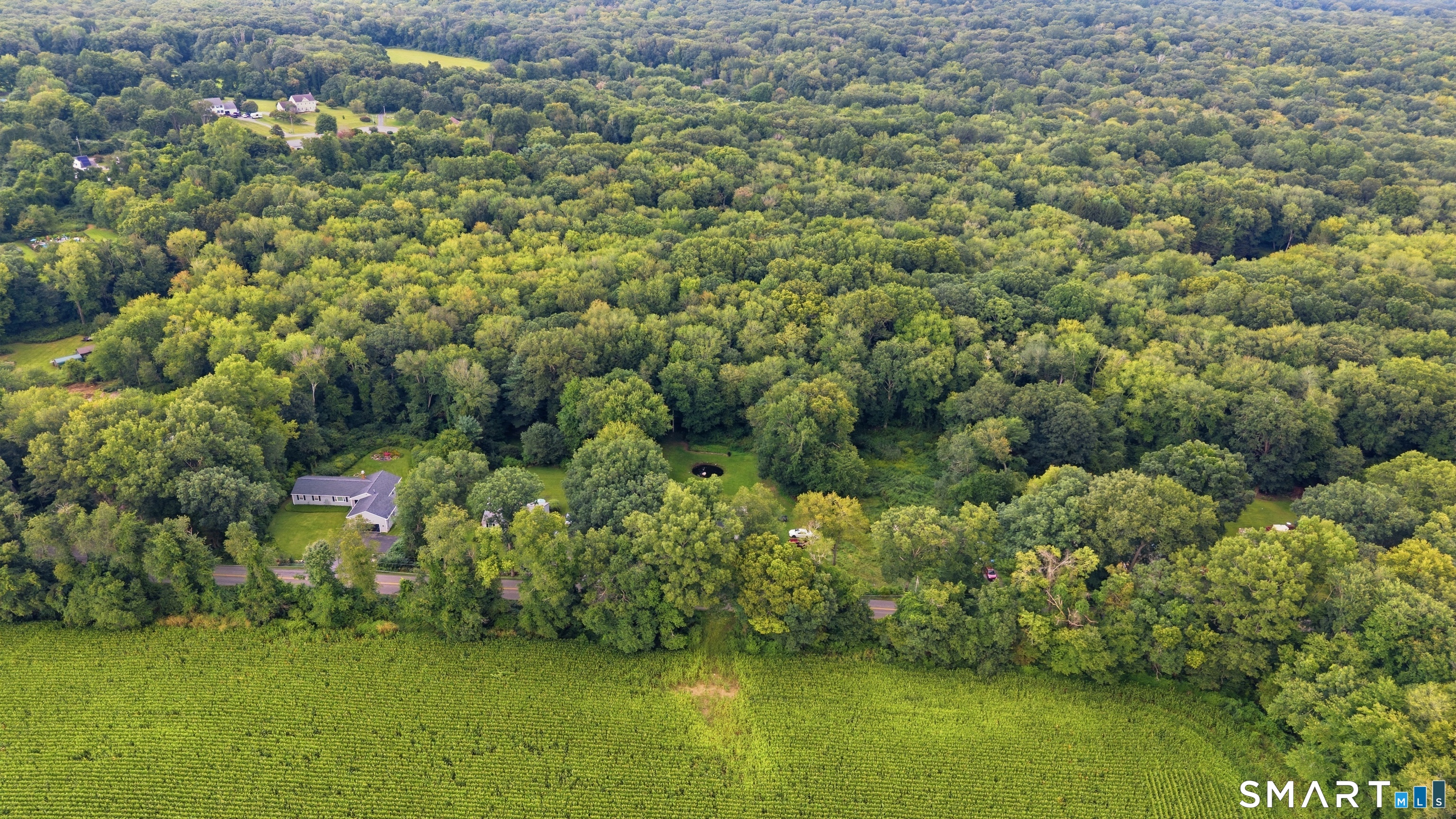 176 Geer Road photo 29