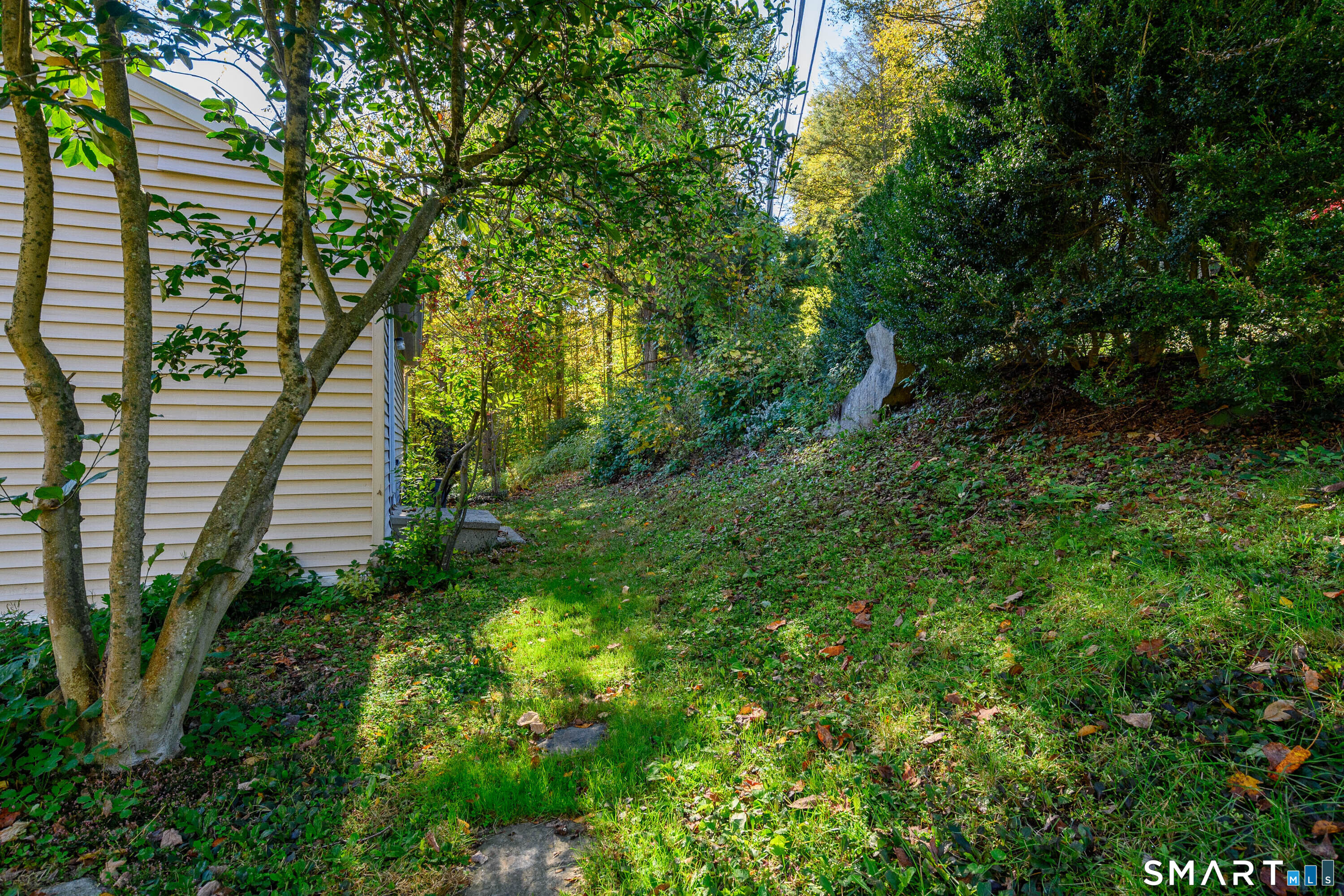 54 Farview Drive photo 22