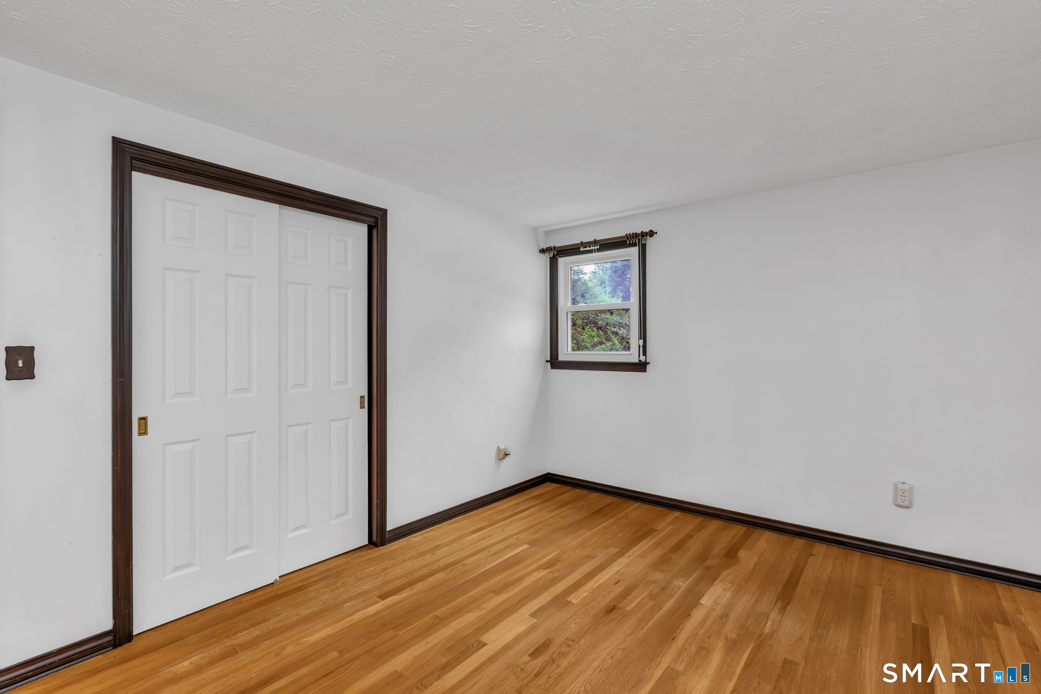 8 Geraldine Drive photo 19