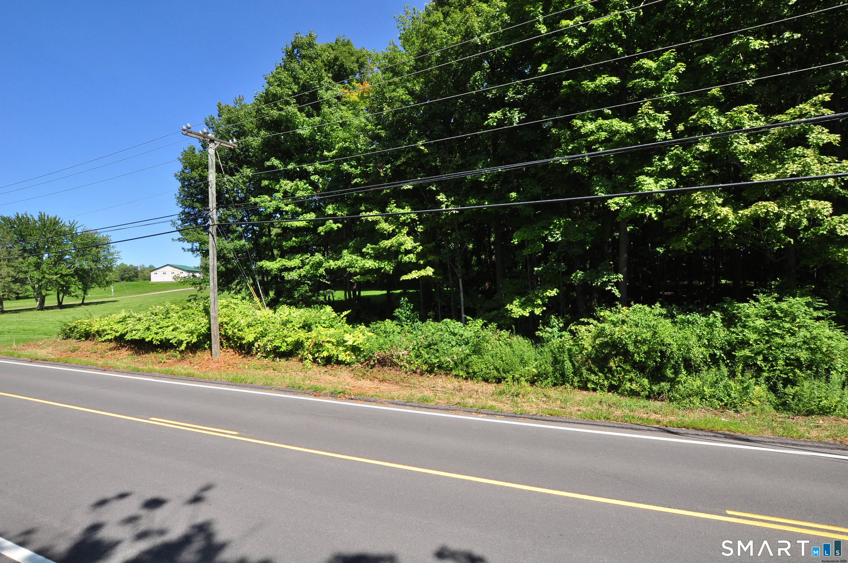 173 Mount Tobe Road photo 11