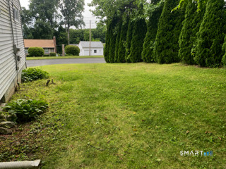 63 Muir Avenue photo 18