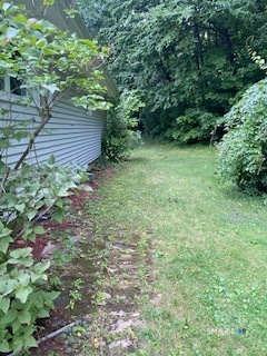 63 Muir Avenue photo 19