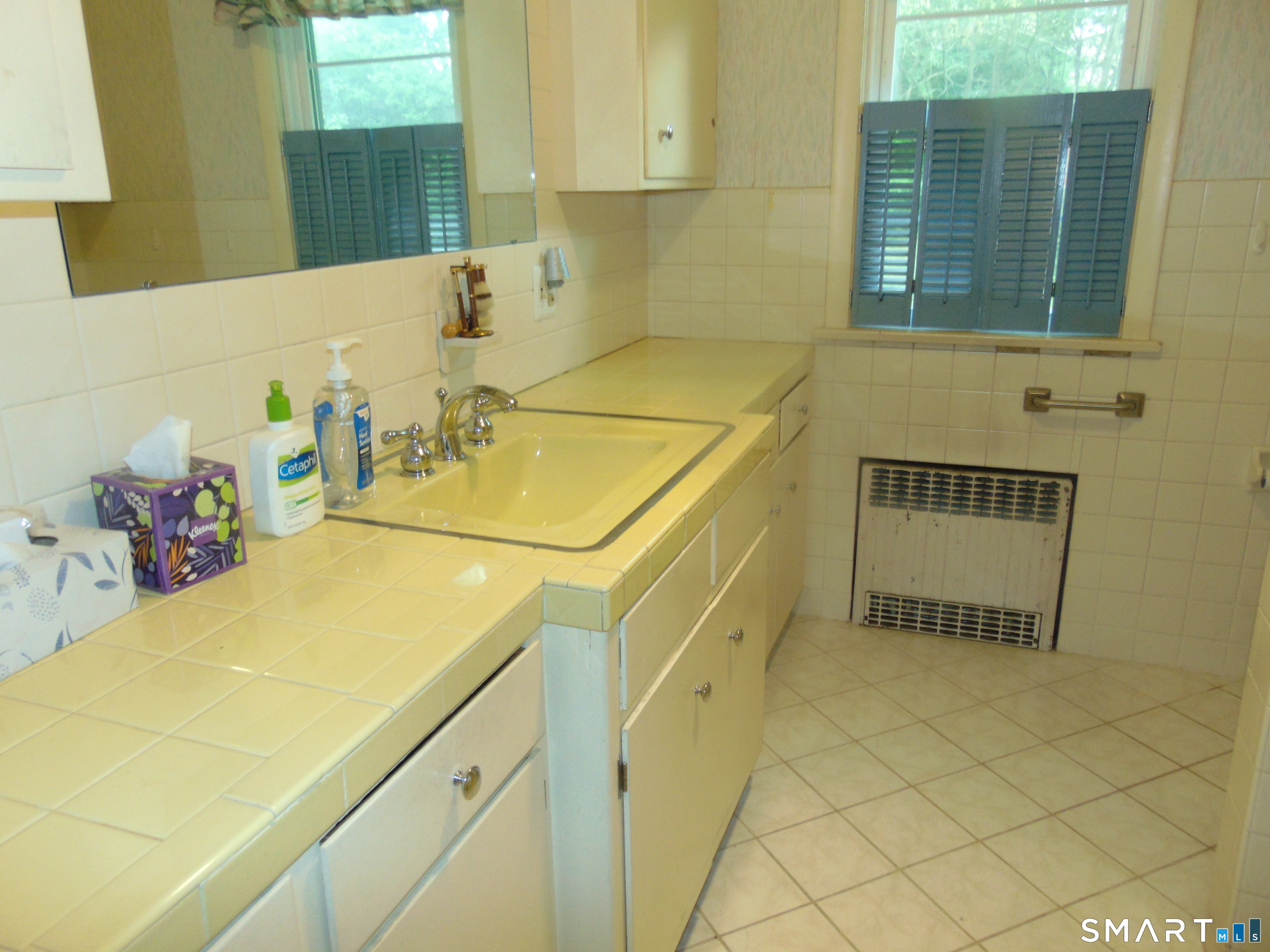101 Birchwood Street photo 20