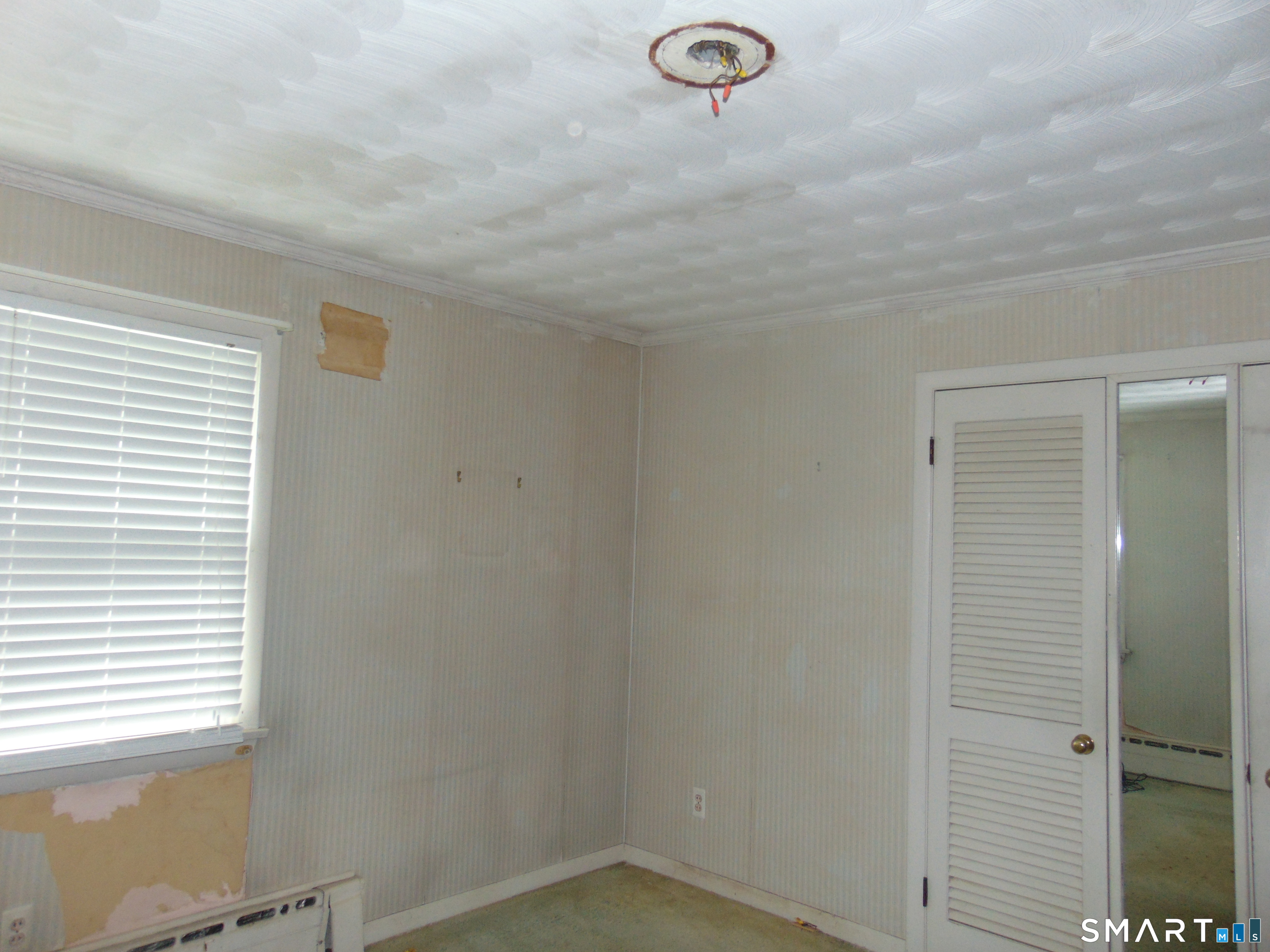 101 Birchwood Street photo 25