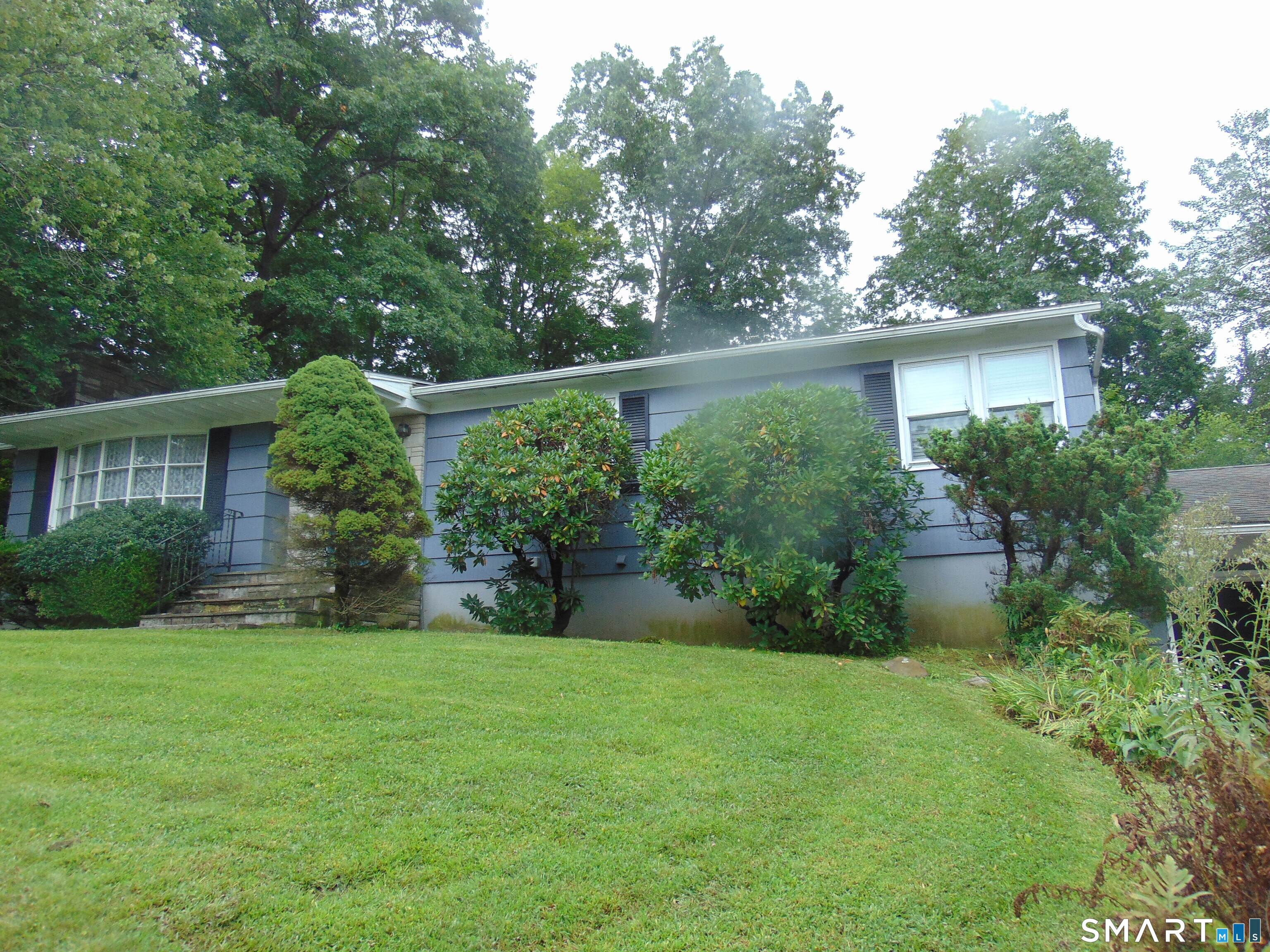 101 Birchwood Street photo 30