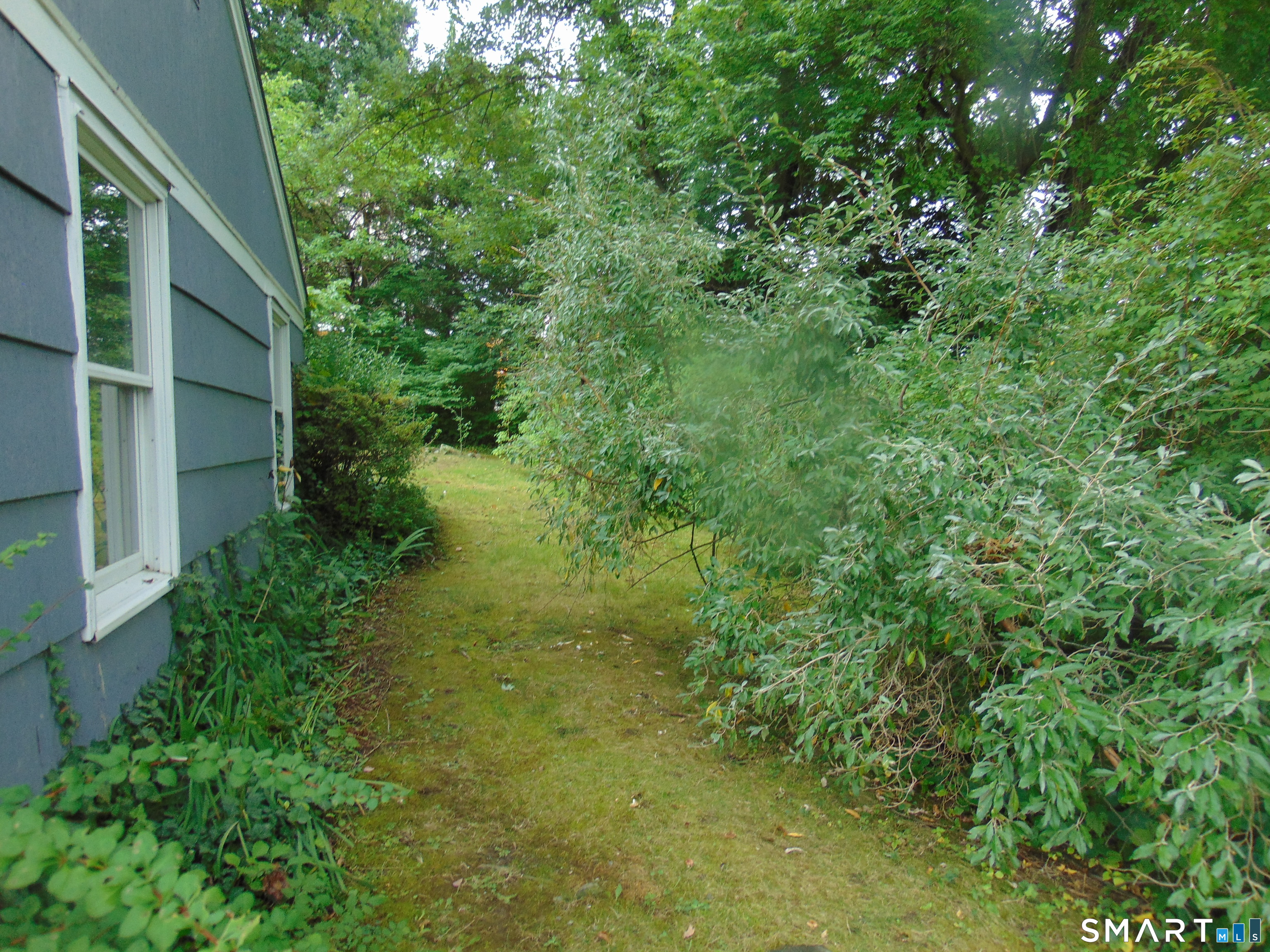 101 Birchwood Street photo 34