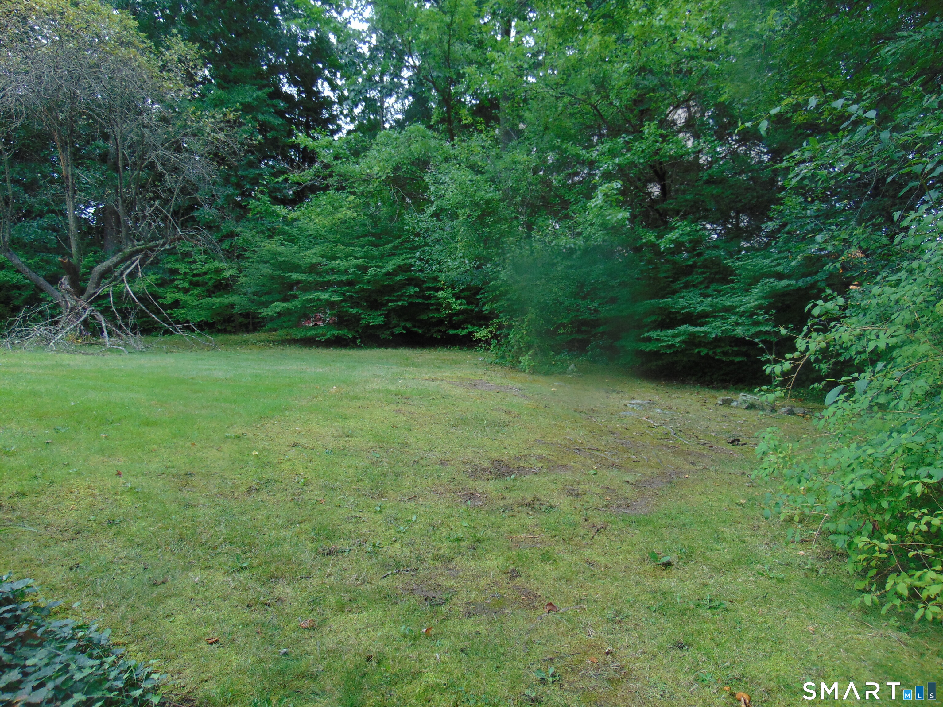 101 Birchwood Street photo 35