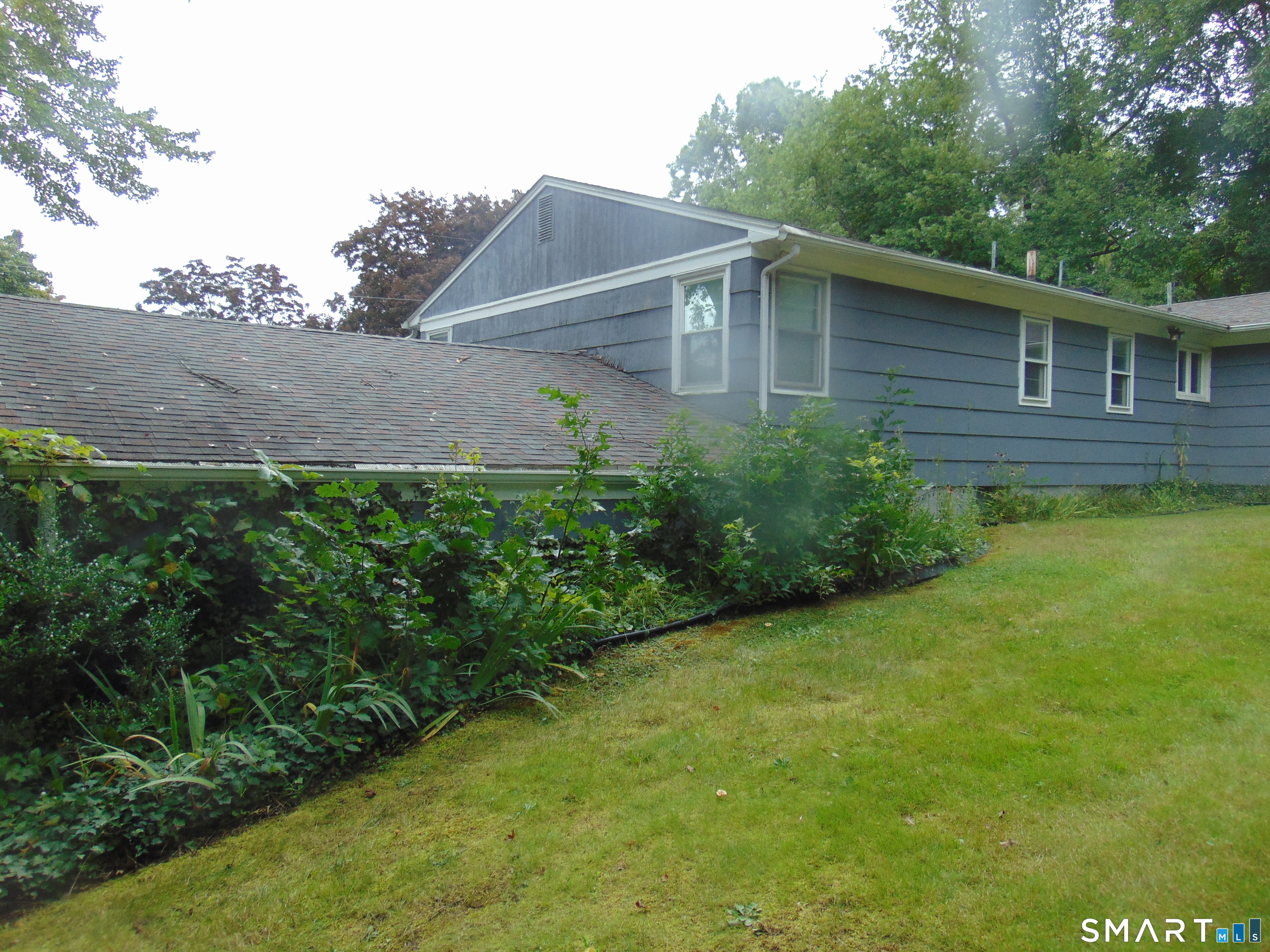 101 Birchwood Street photo 36