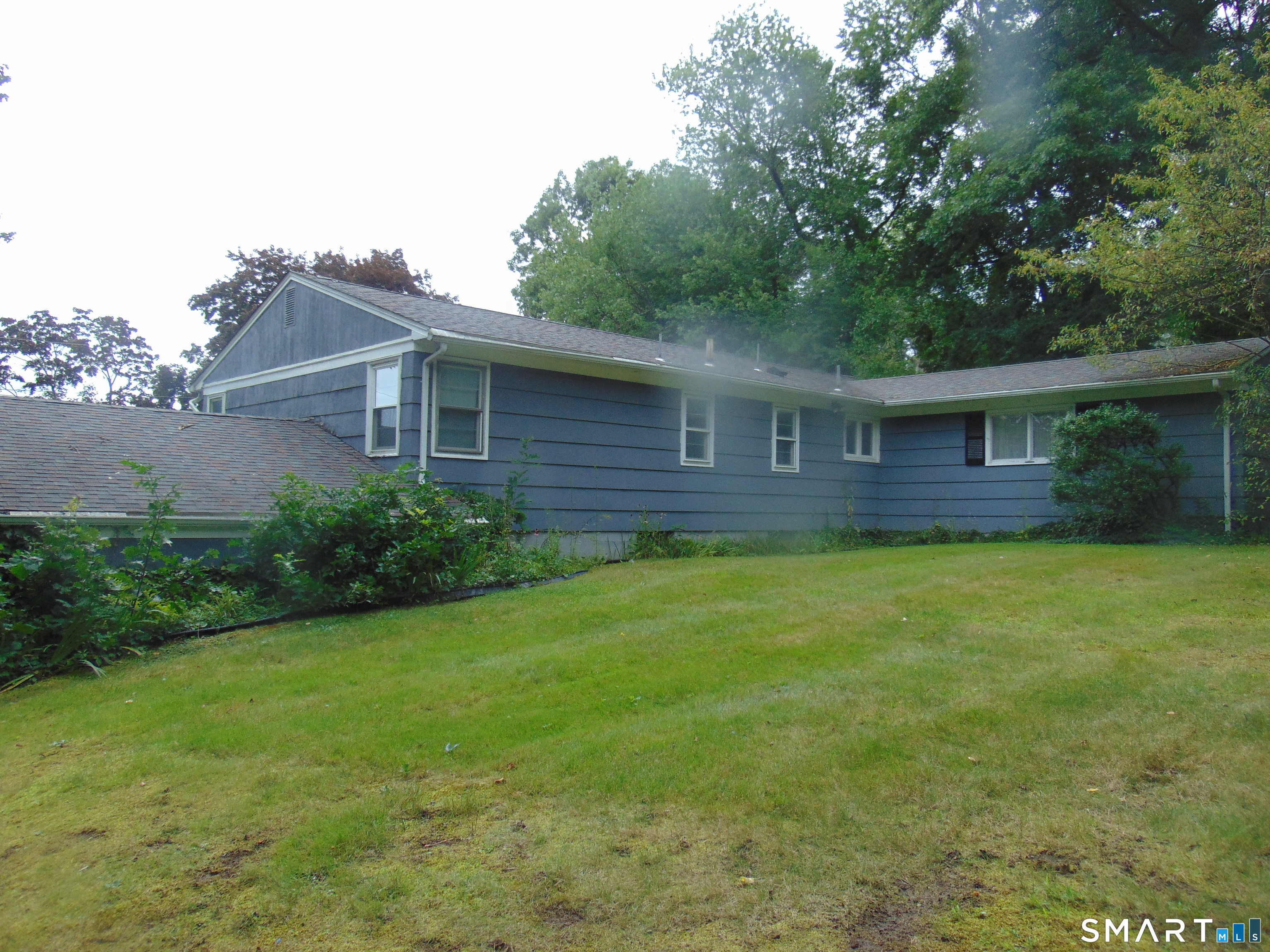 101 Birchwood Street photo 37