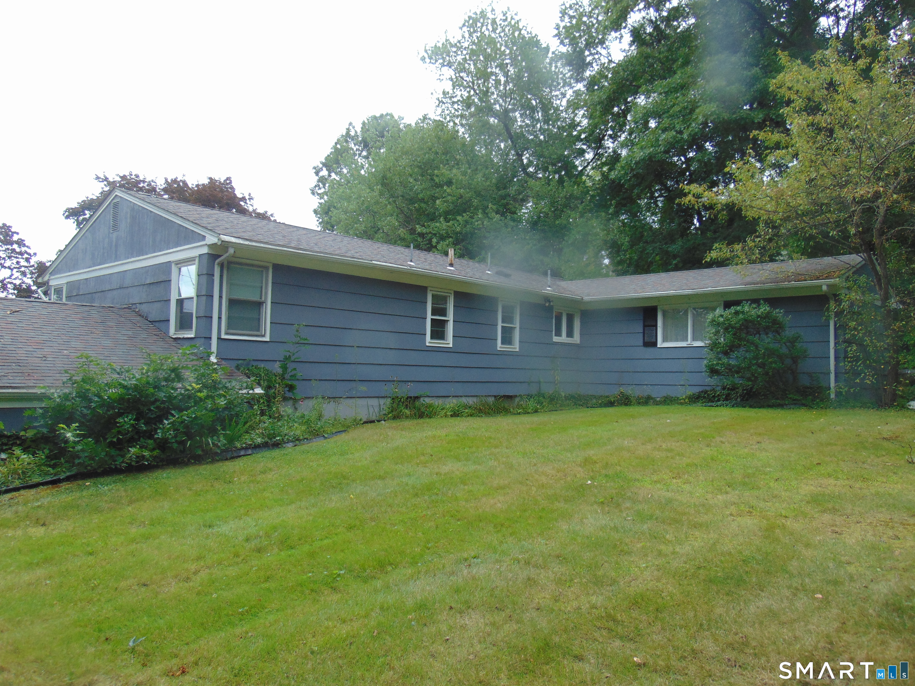 101 Birchwood Street photo 38