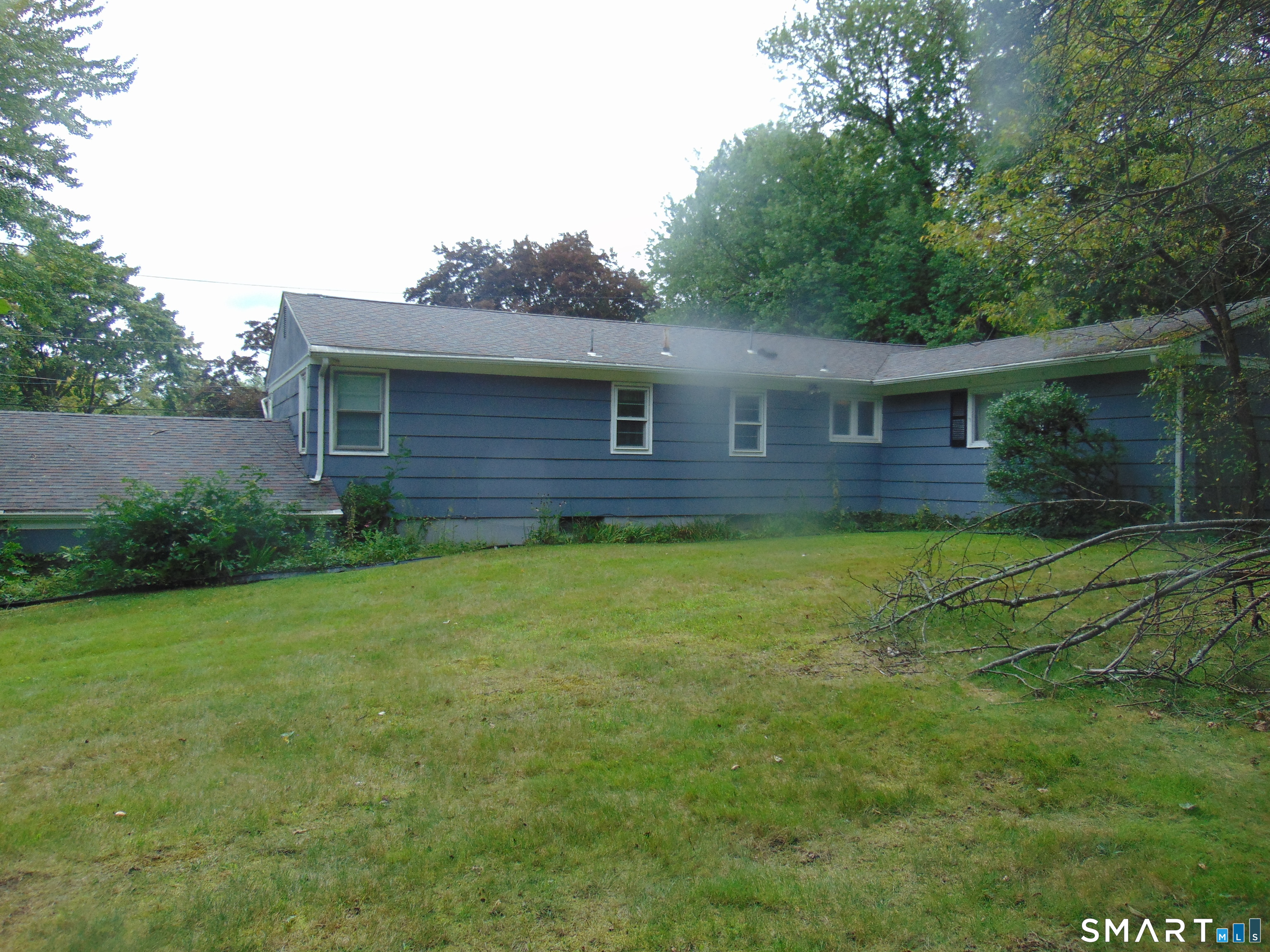 101 Birchwood Street photo 39