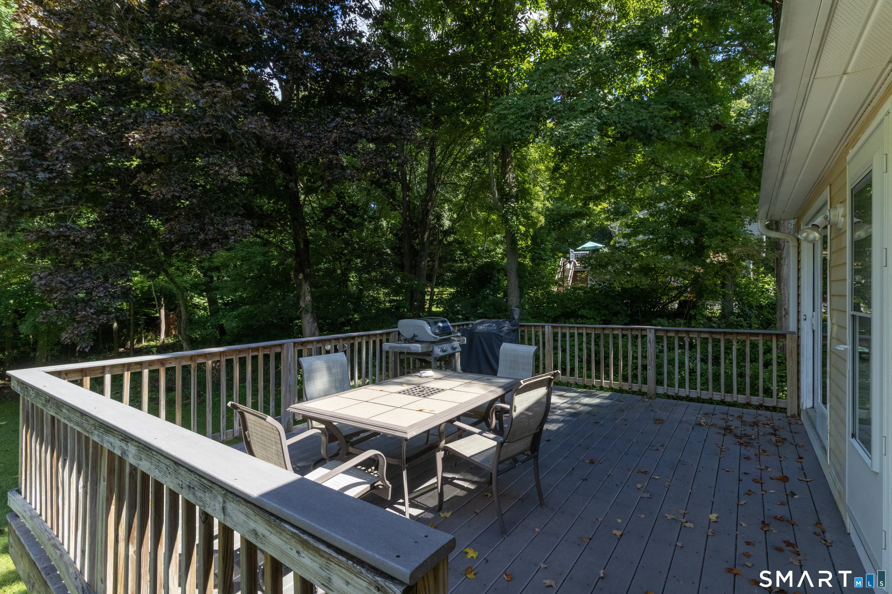 51 Walnut Avenue photo 18