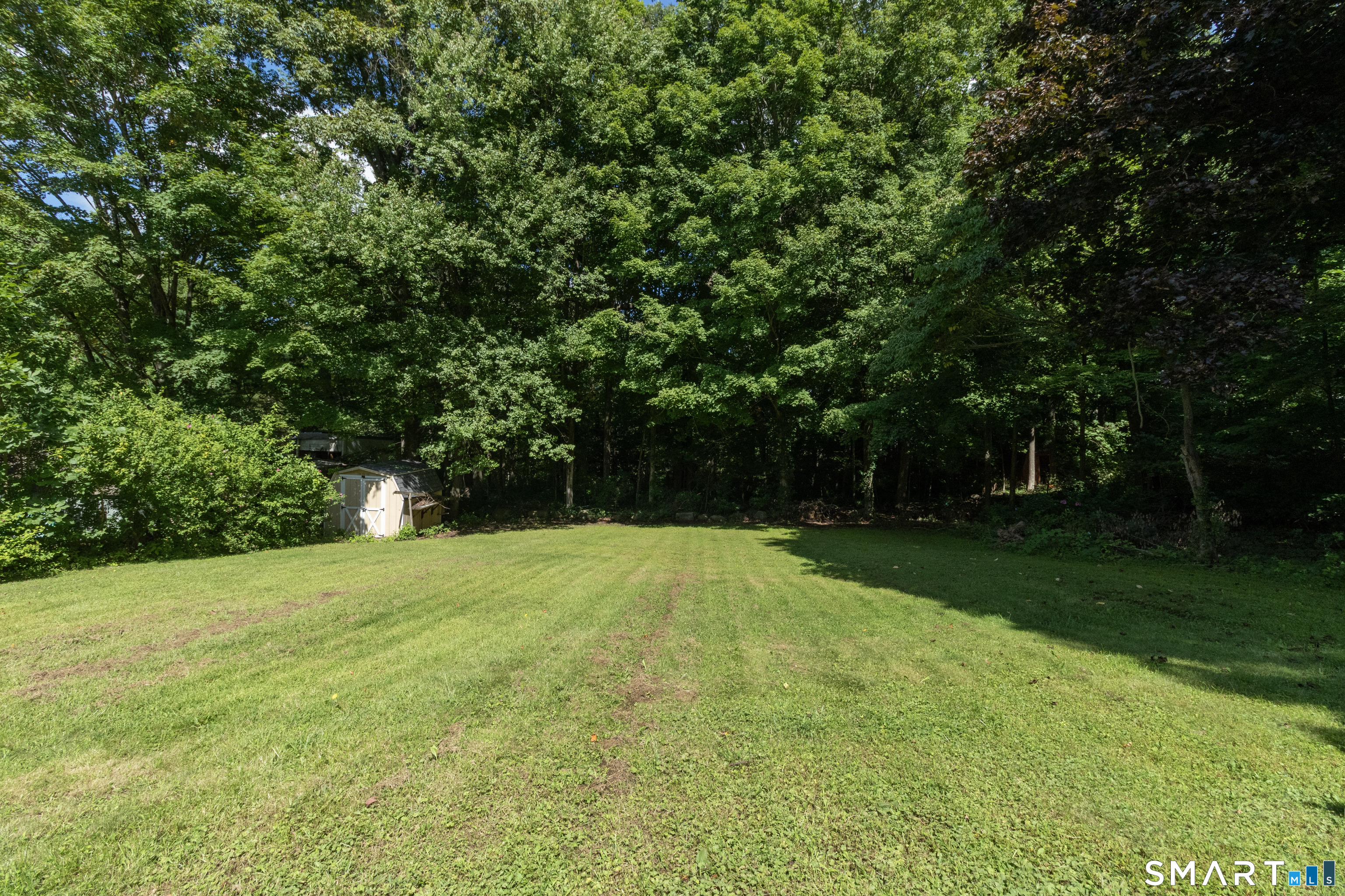 51 Walnut Avenue photo 19