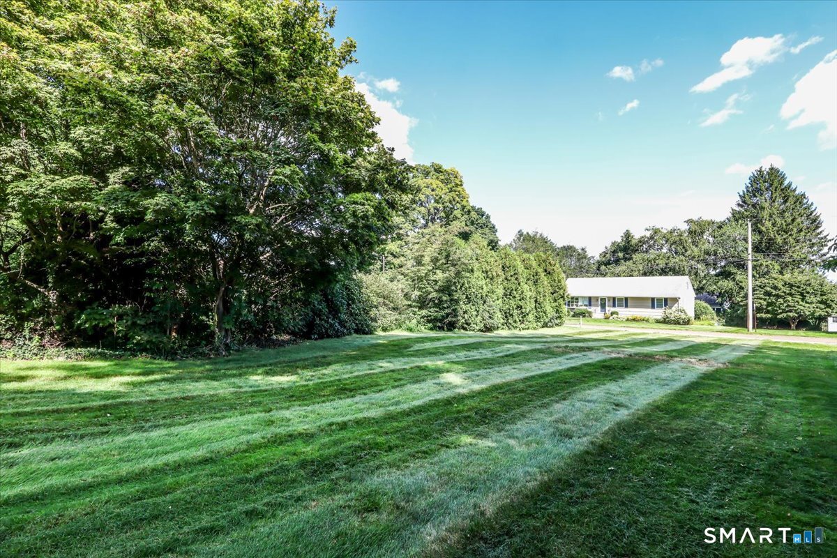 86 Crown Street photo 28