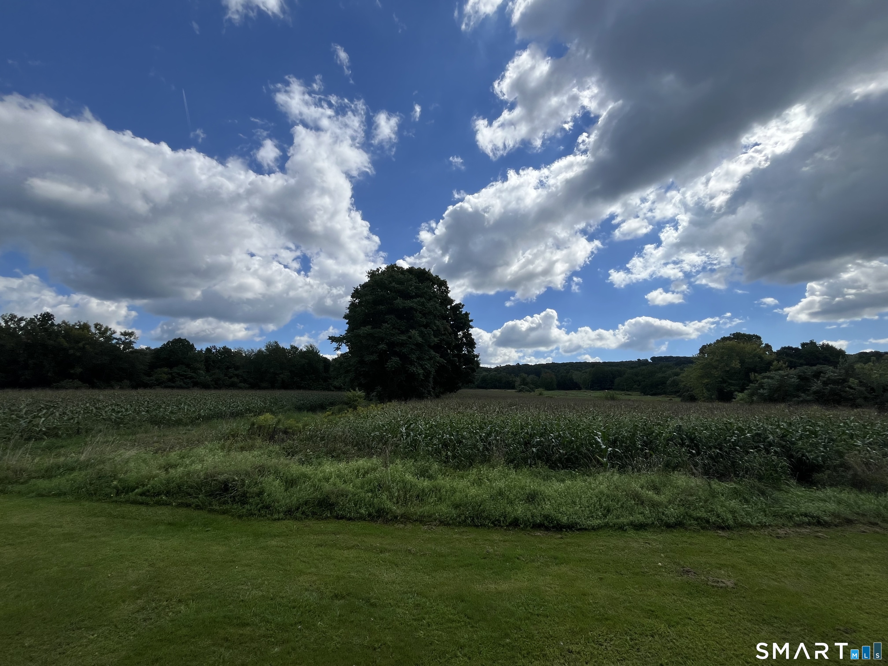 303 Somers Road photo 29