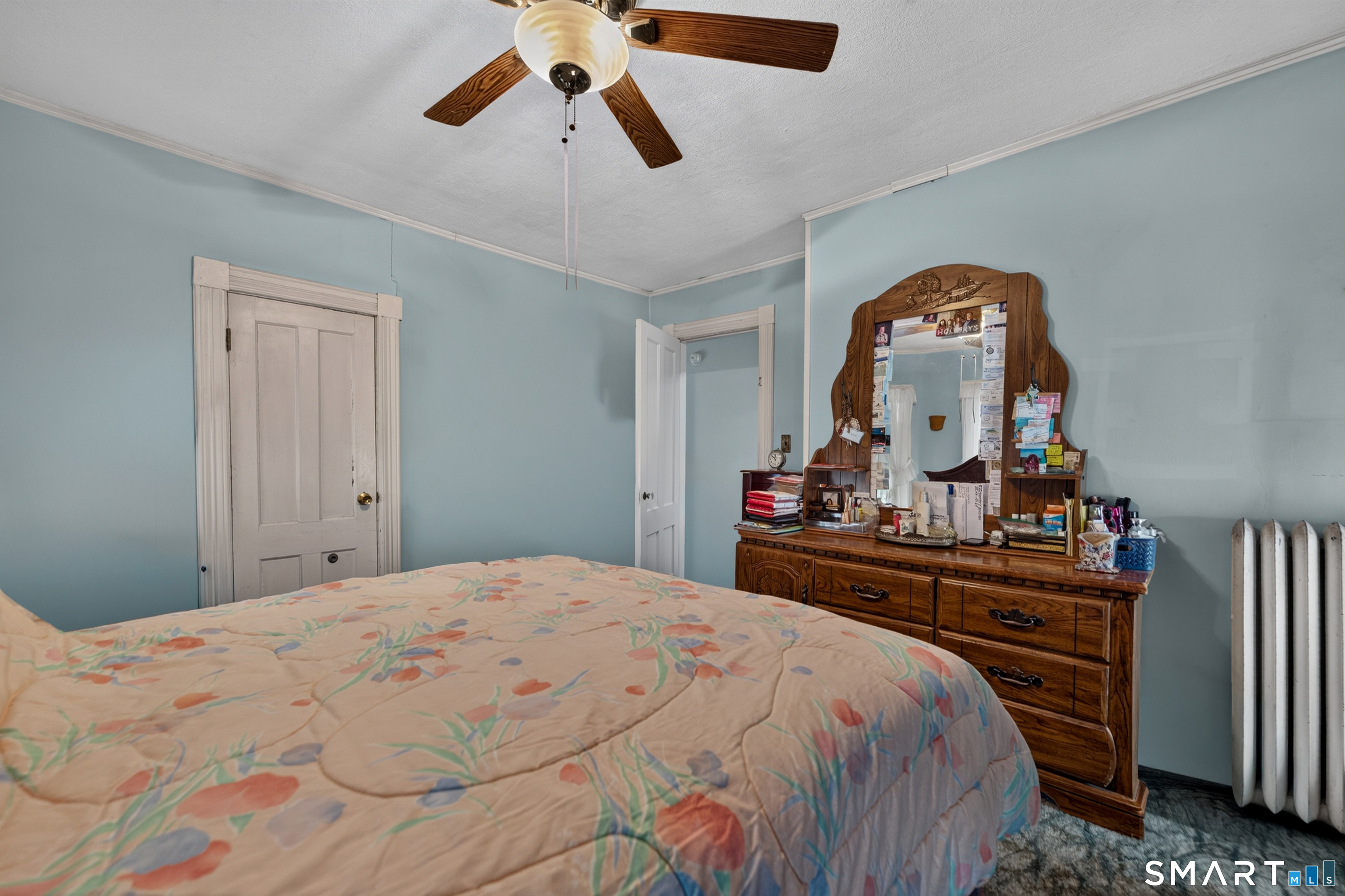 17 Borodell Place photo 27
