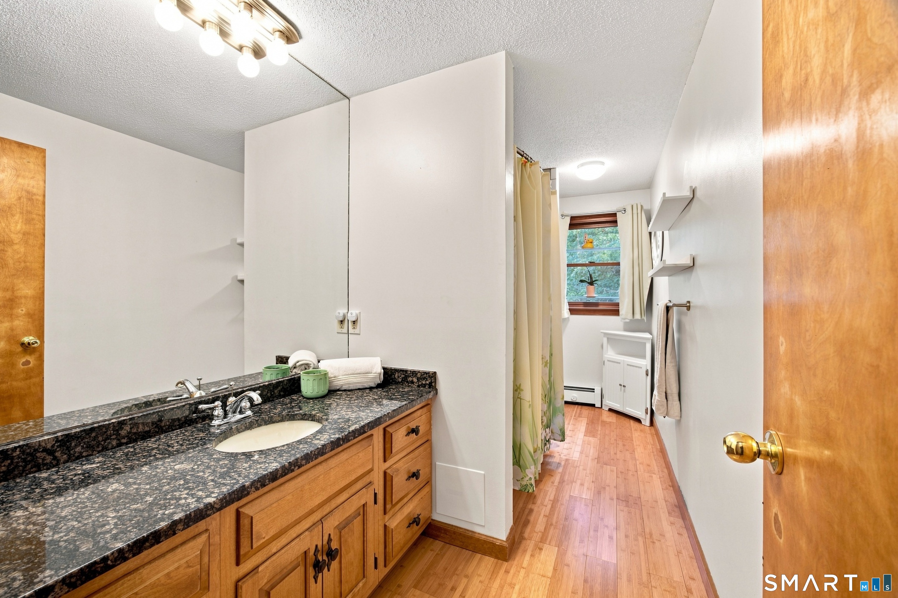 4 Woodland Hollow Street photo 13