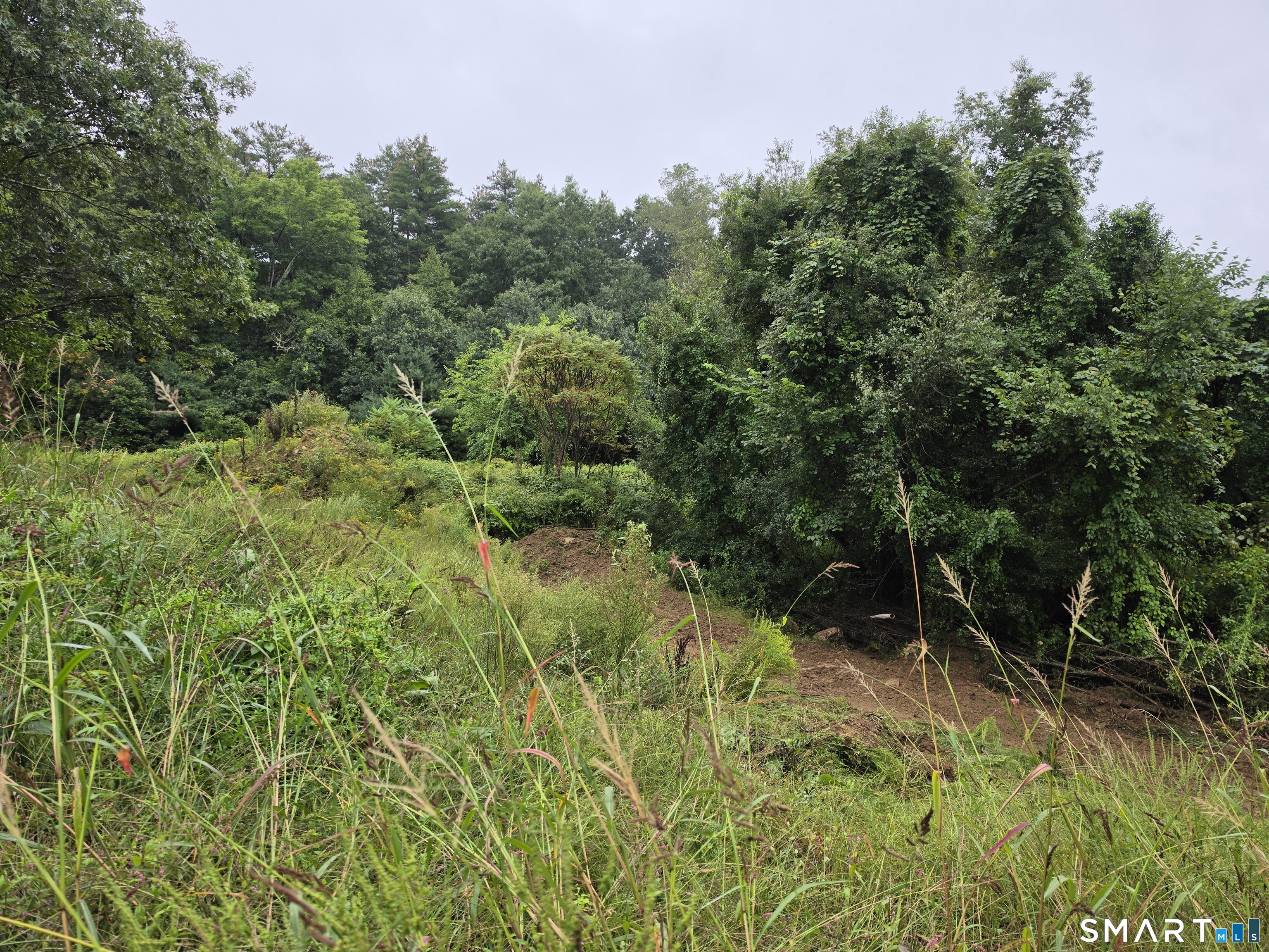 Photo 1 of Land for sale at Tbd 169 Route, Woodstock, CT 06281 | MLS# 24205232 | Listing updated on 2026-09-08