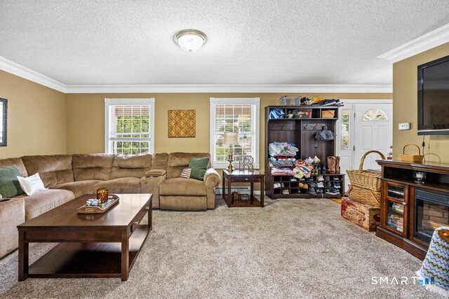 60 Olivia Lane photo 14
