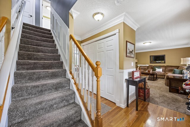 60 Olivia Lane photo 16