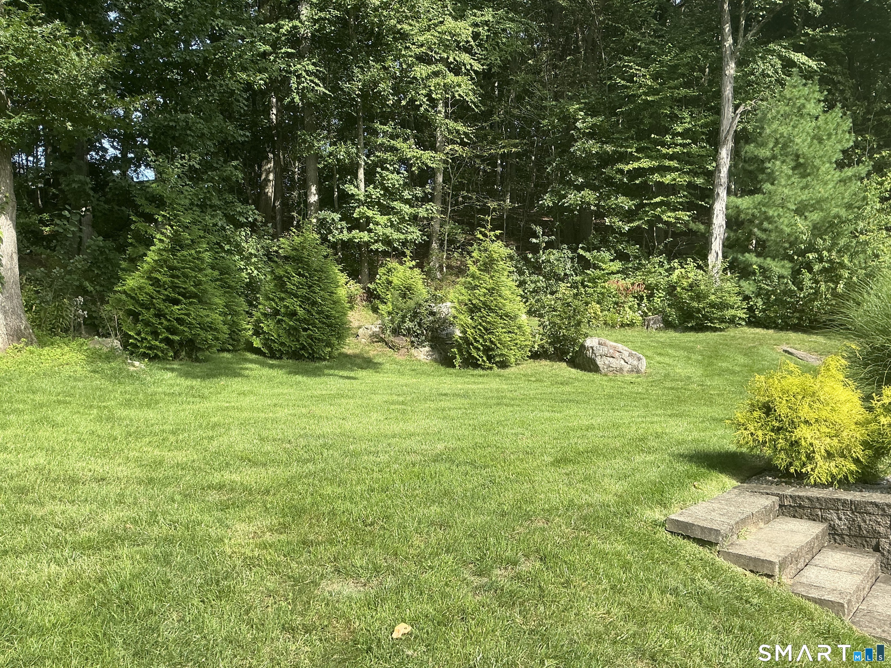 47 Moss Avenue photo 37